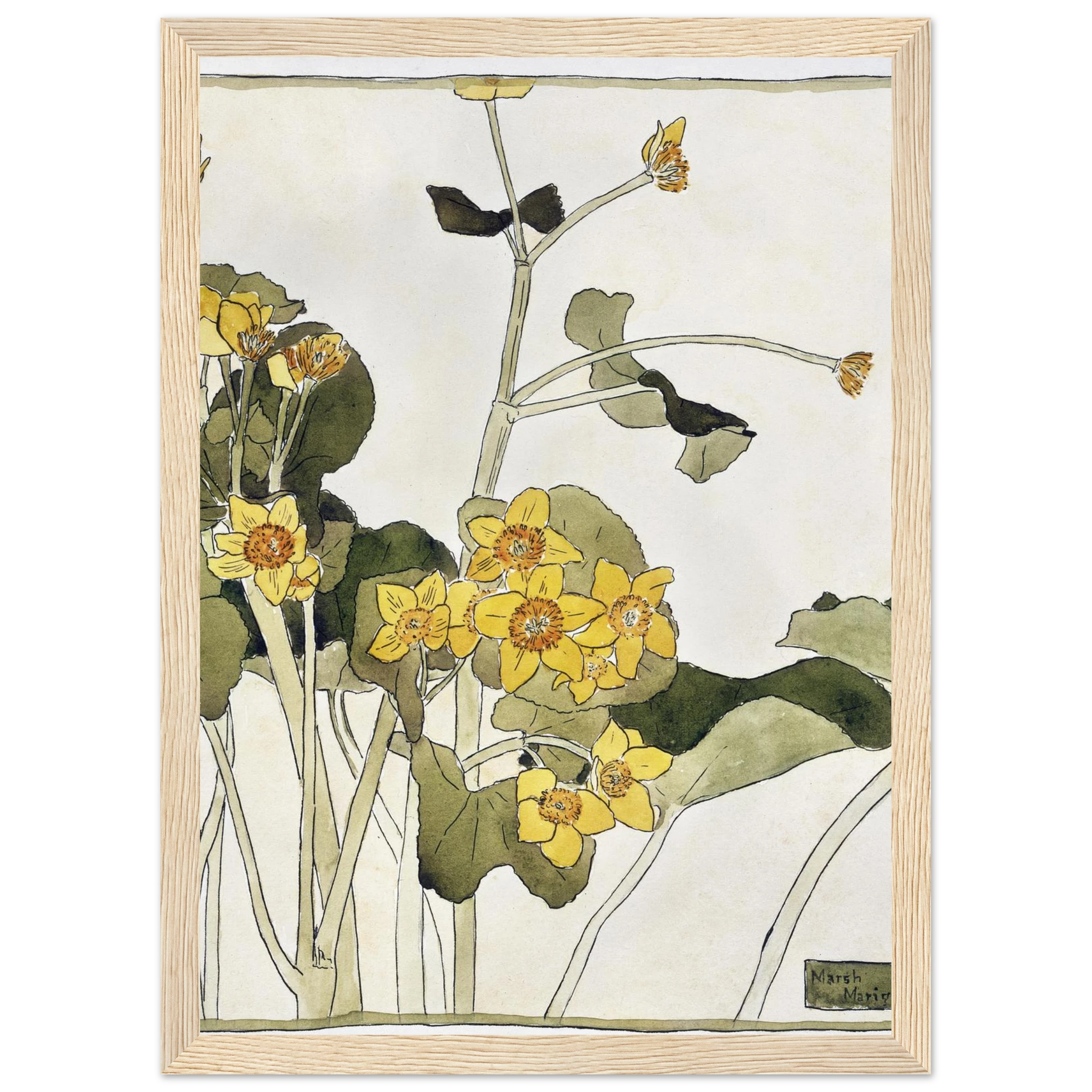 80dd8205-dac1-47ea-b9f0-636b5f135026