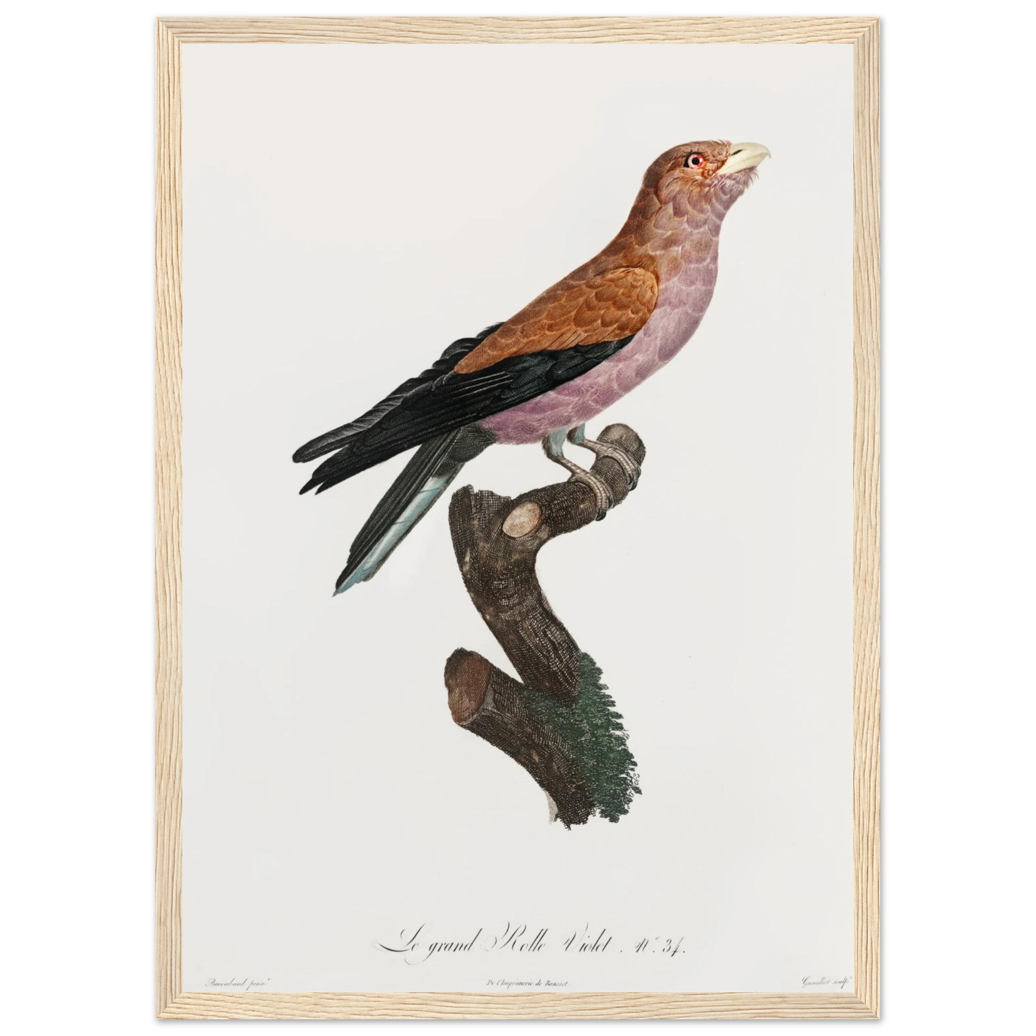 812f5292-4c22-42e3-afc6-8b67fb341ee4