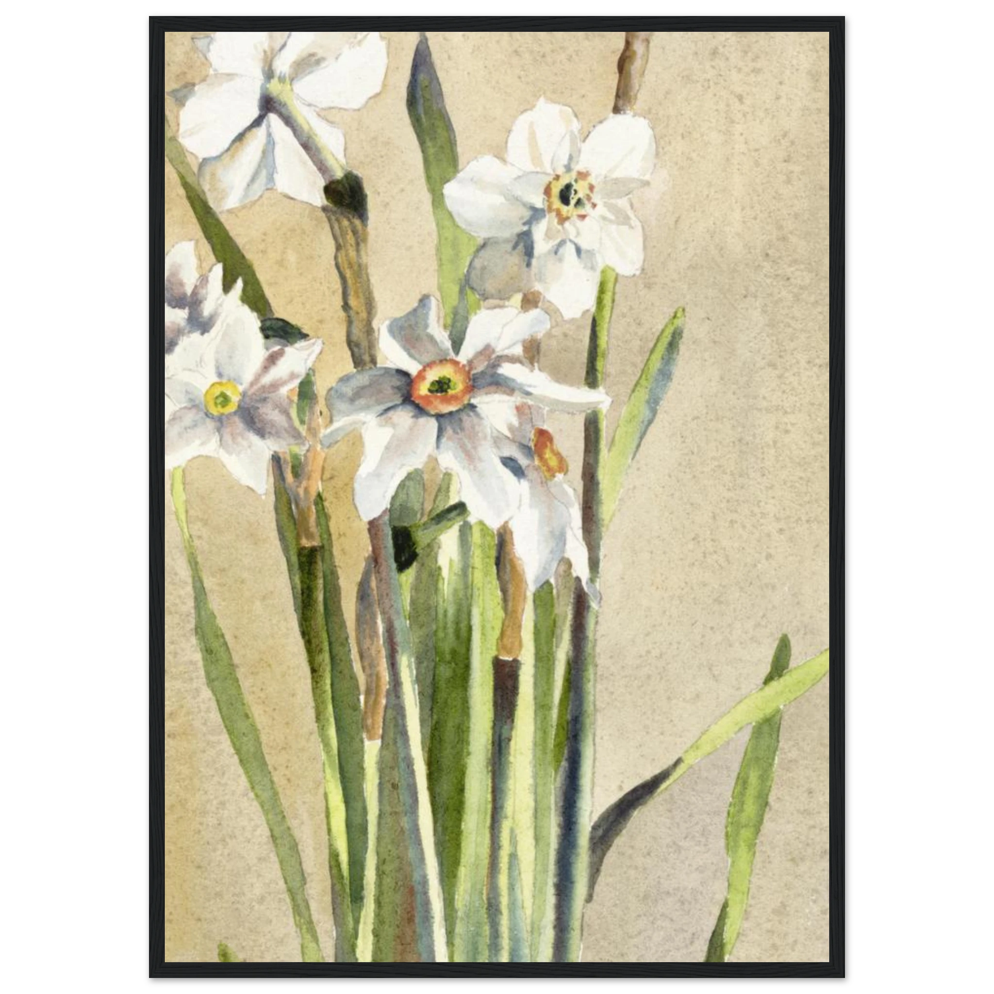 816aea04-f38c-450b-9ada-f2cd76cb34b8