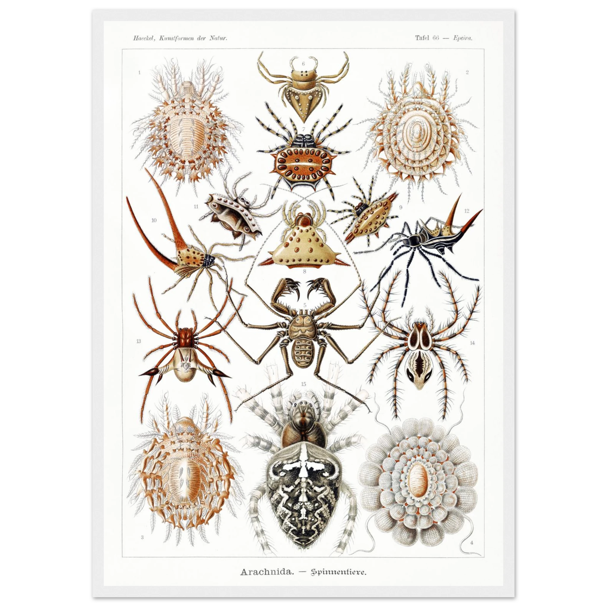 821292fb-a512-4fa4-b073-adfb1315419d