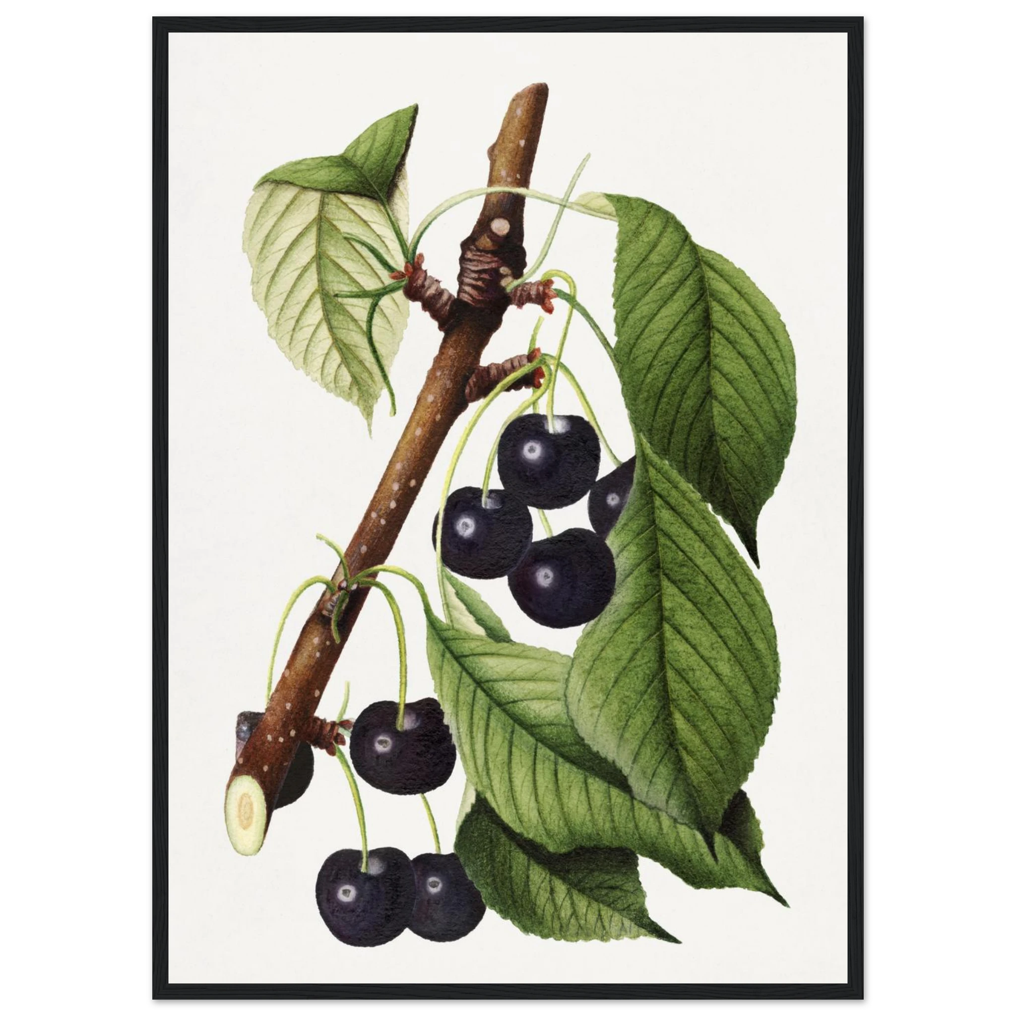 8240f51d-45a6-408b-ae22-363e7acb0320