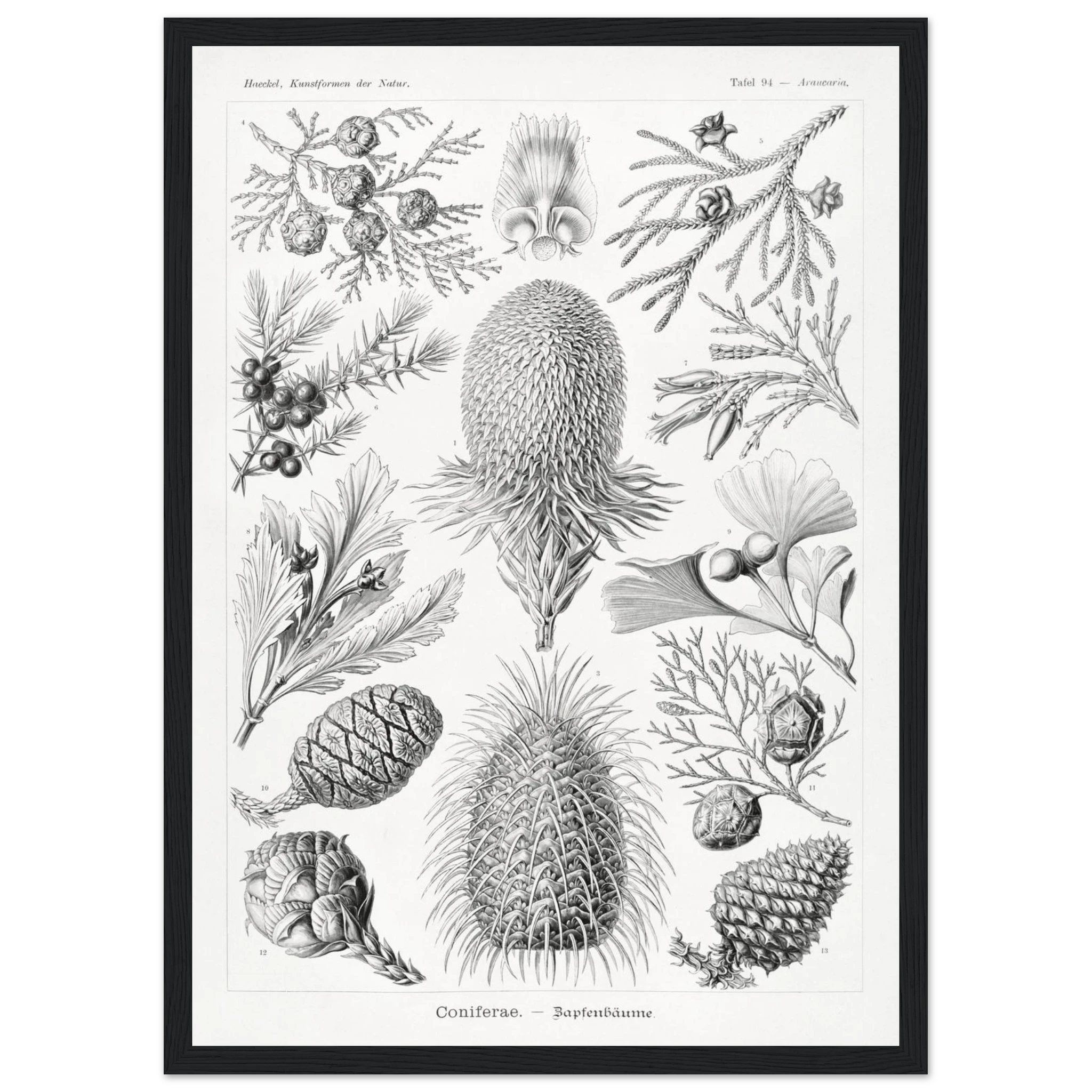 82829ac3-f4ee-4ca1-b437-dae0ac3a5268