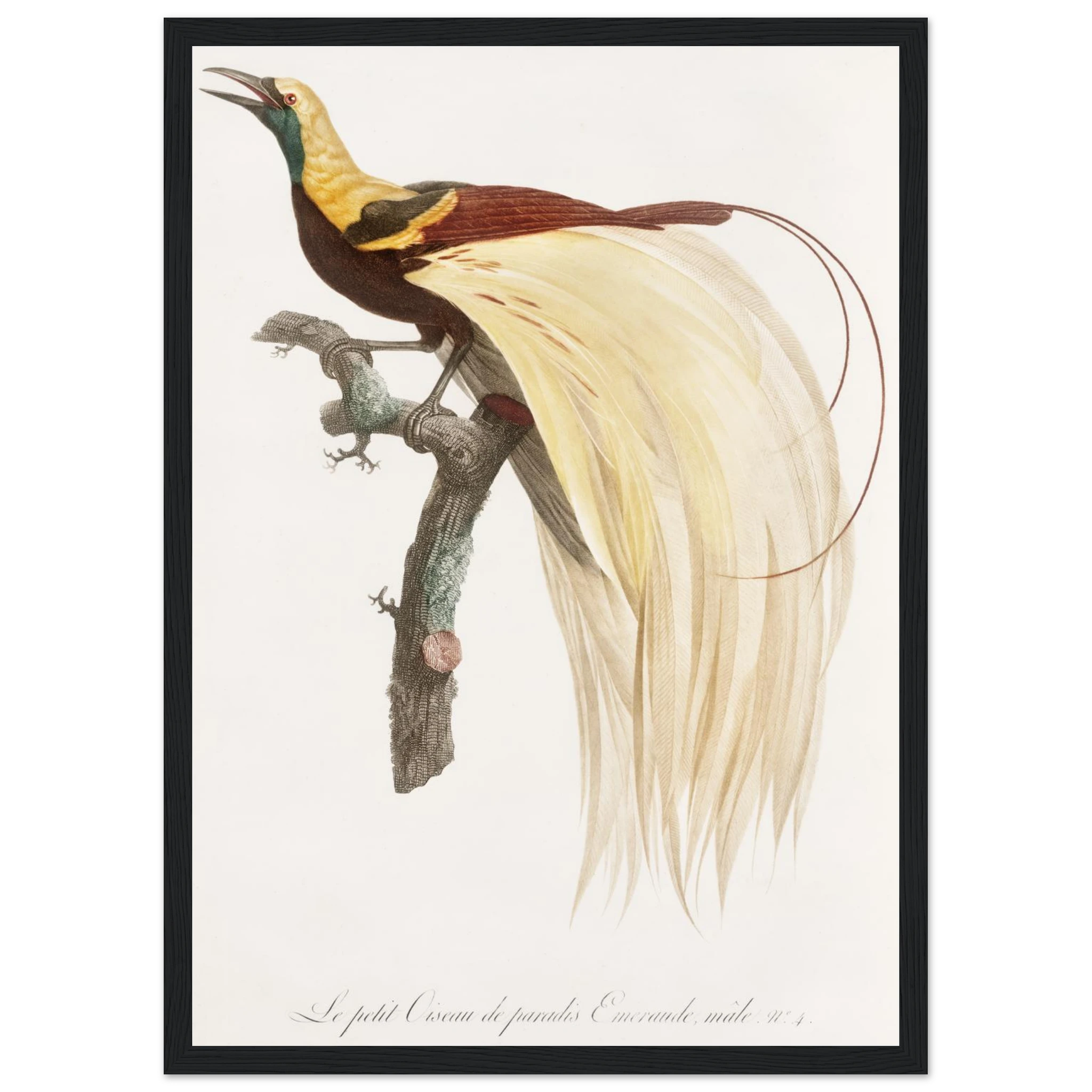 82a9de2a-1337-4b49-a8e2-99923267474c