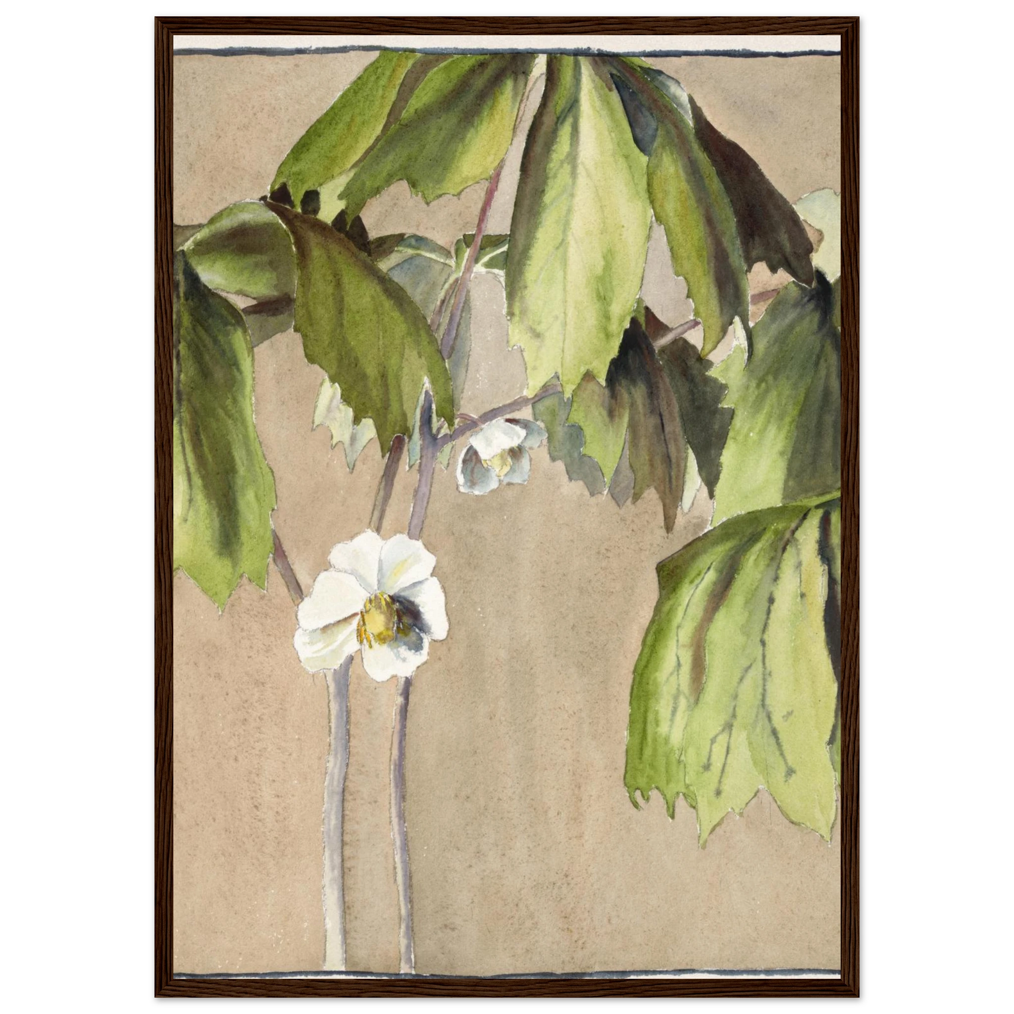 82e8ef0b-4ae8-42b2-8948-fca75bb9a8ea