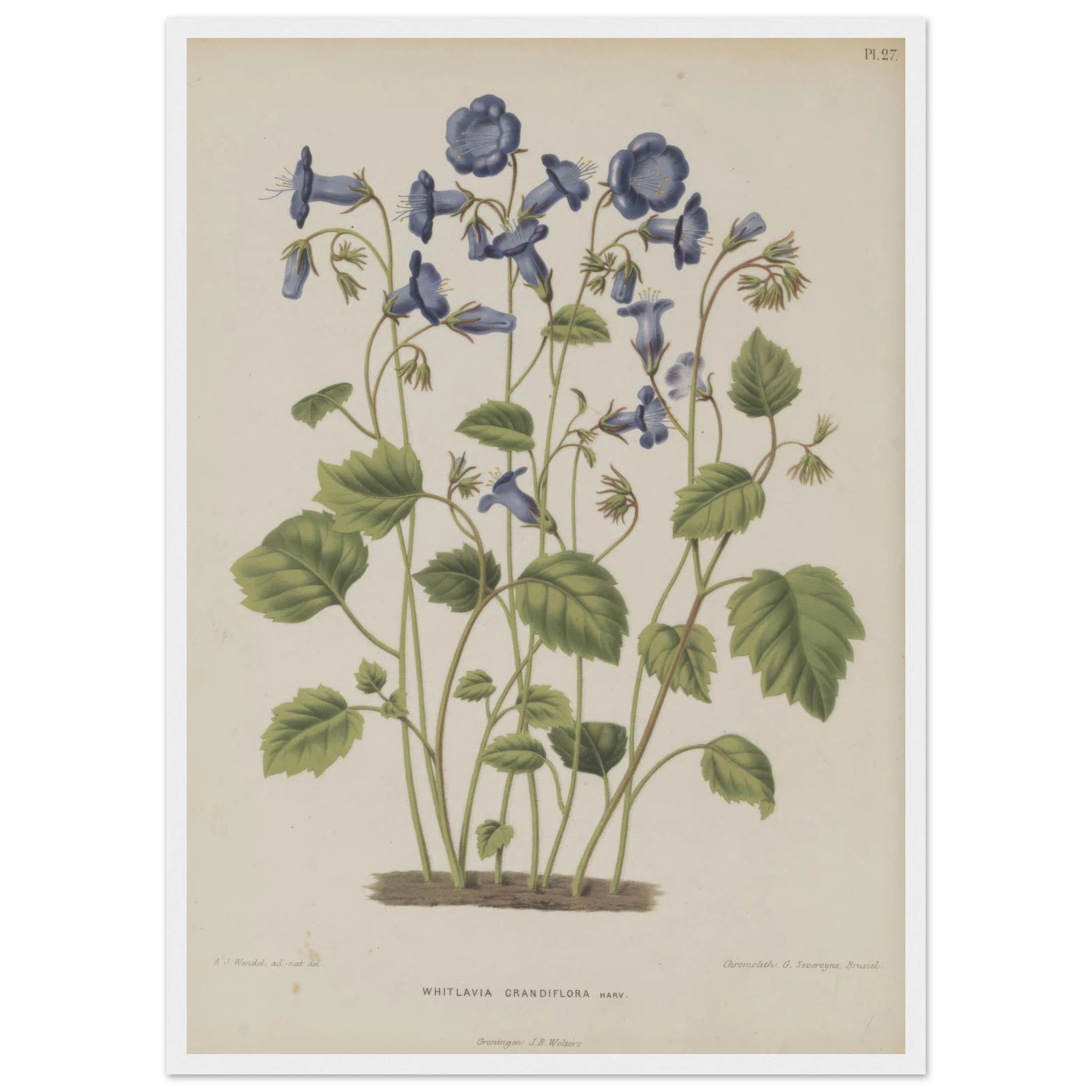 82ee2fdd-a0a5-4461-9320-33eb5e1e4276