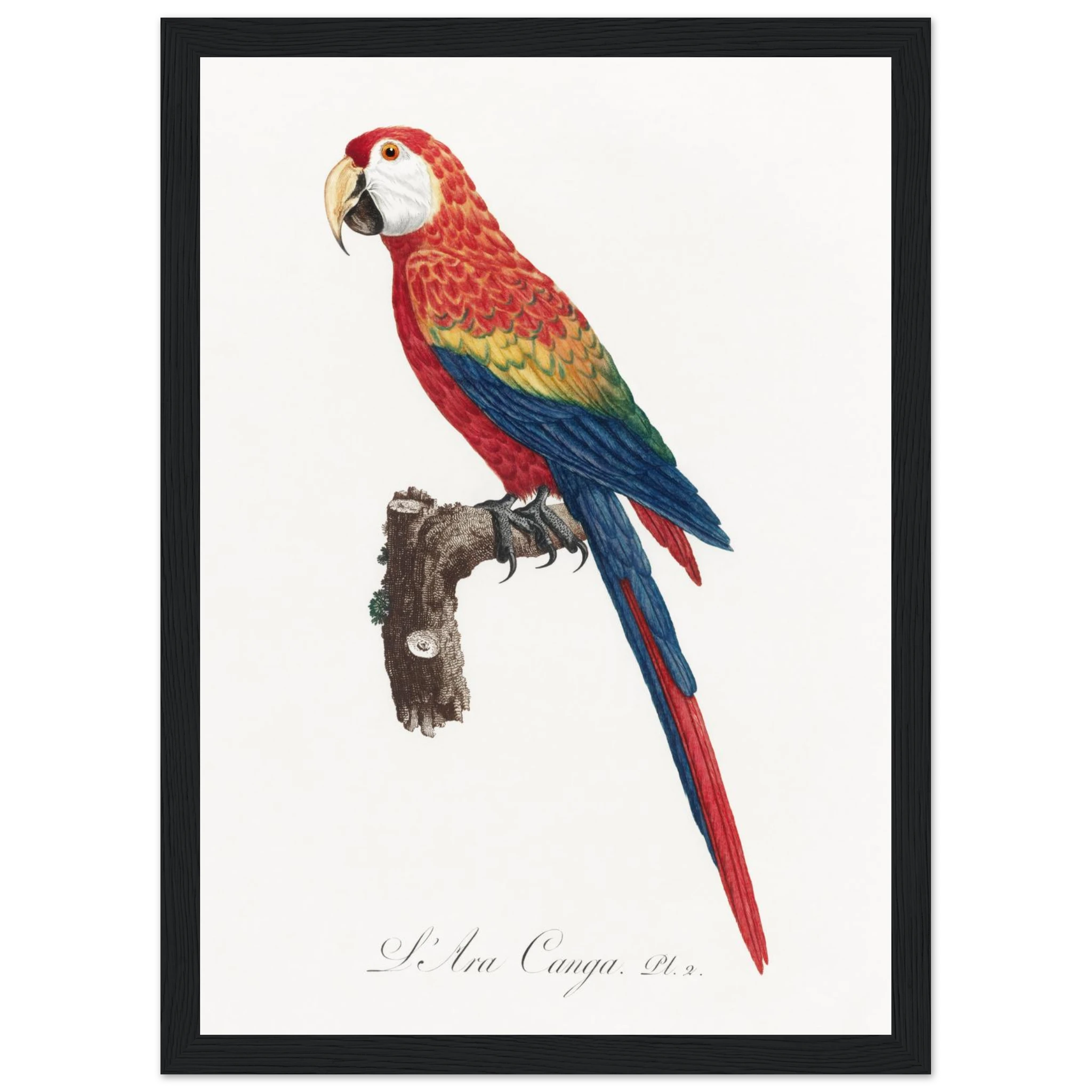 83065229-3067-4fb9-be55-985fa0fada5e