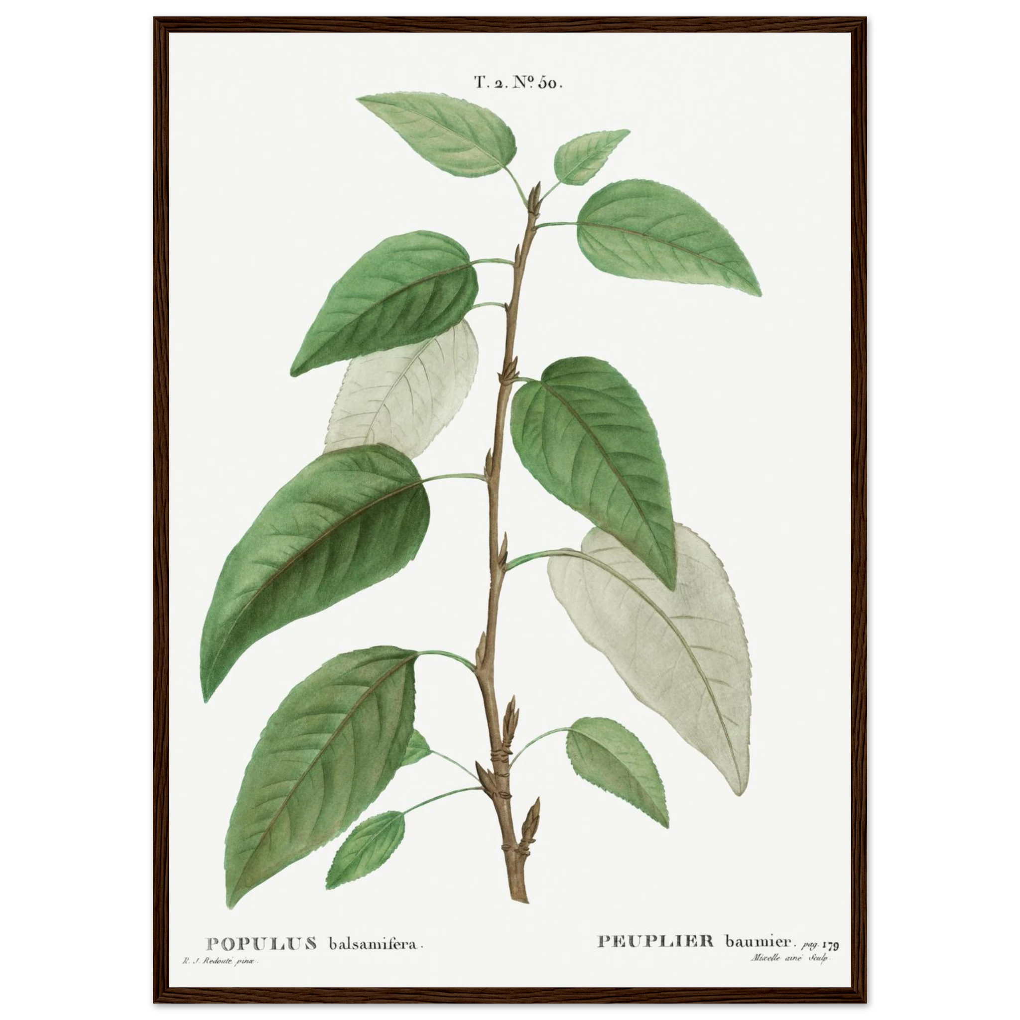 835a721b-5675-4403-ac2f-9d65ab6e3c2b