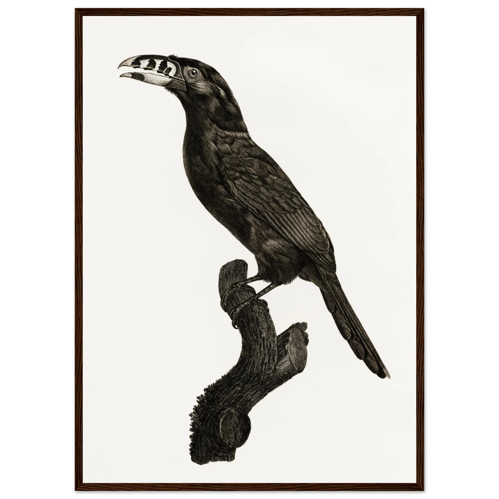 836aeef0-77b1-45b9-9ce4-6635726e0365