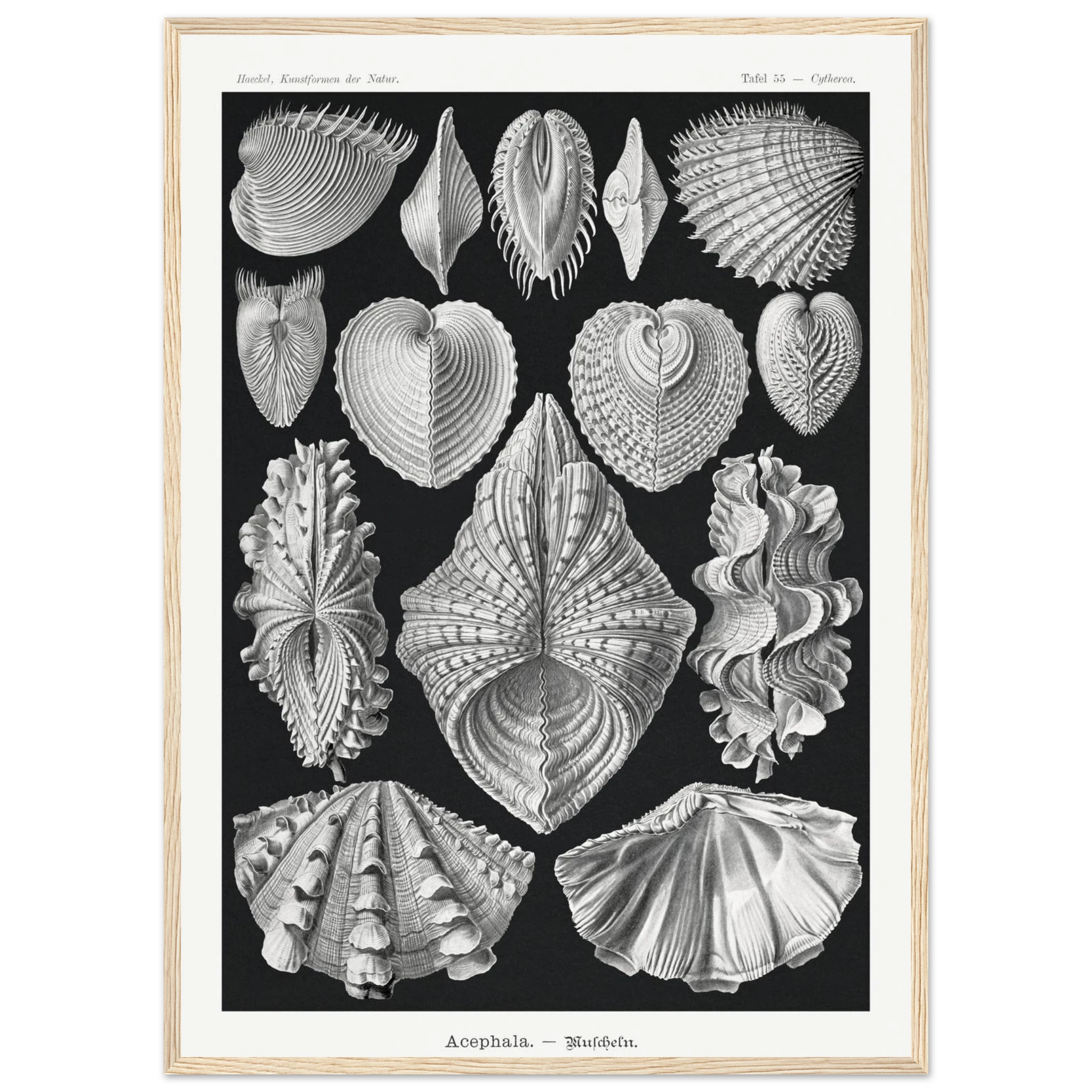 839c865c-c1ae-409d-b4e5-4e0b8f751467