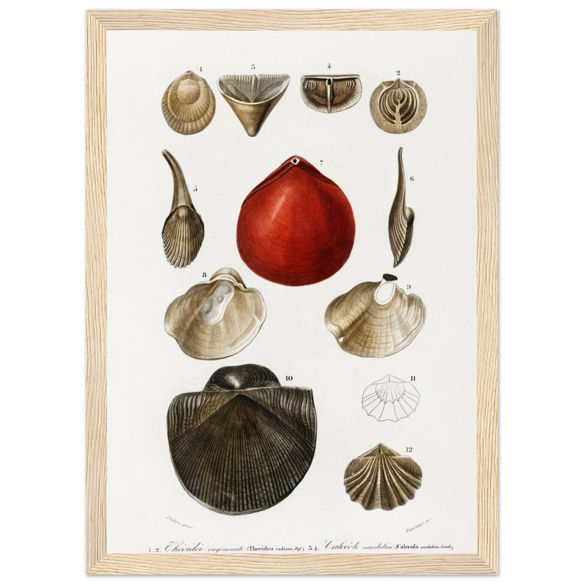 83a2231b-f20c-4edf-9ff5-e35afc2e61b6