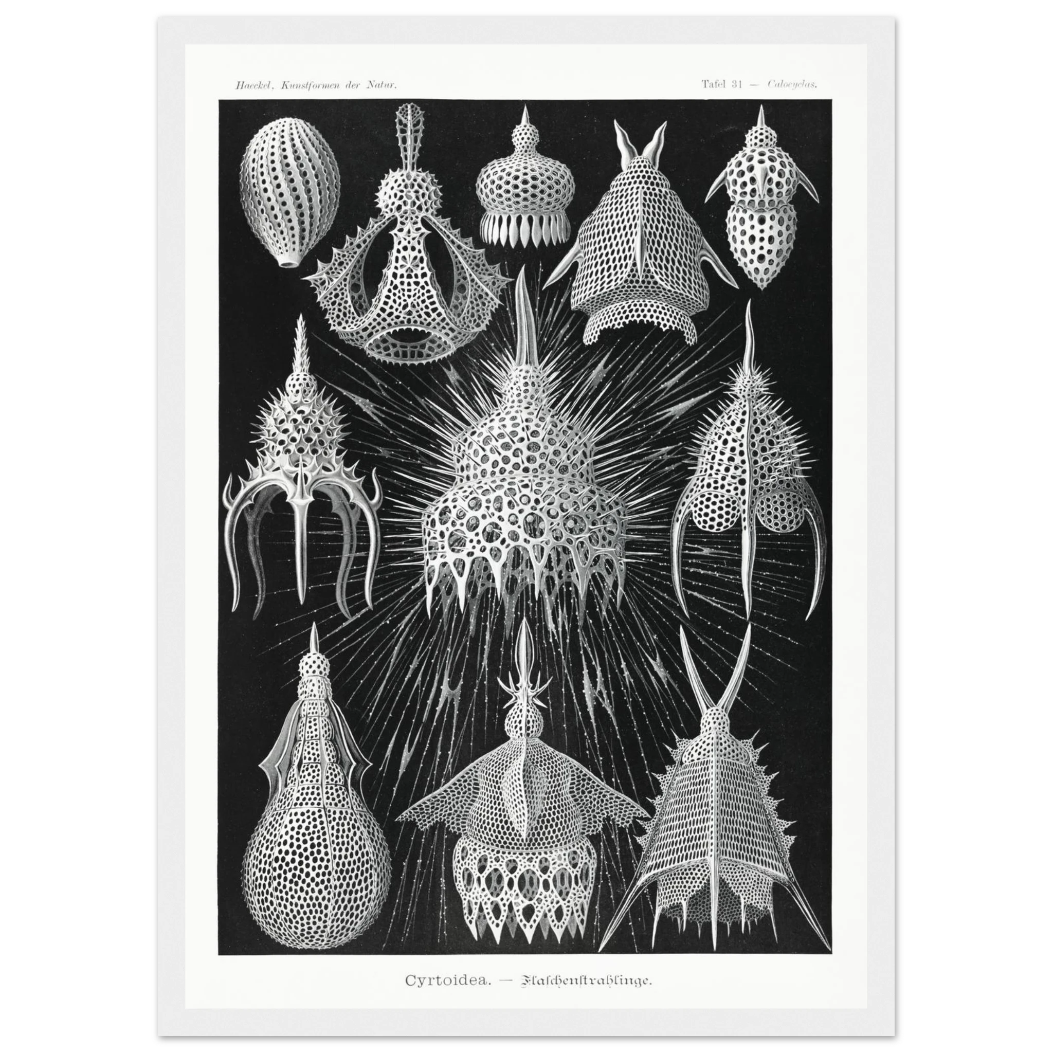 83ab7919-6d13-45e6-86a2-4d33e7385c89