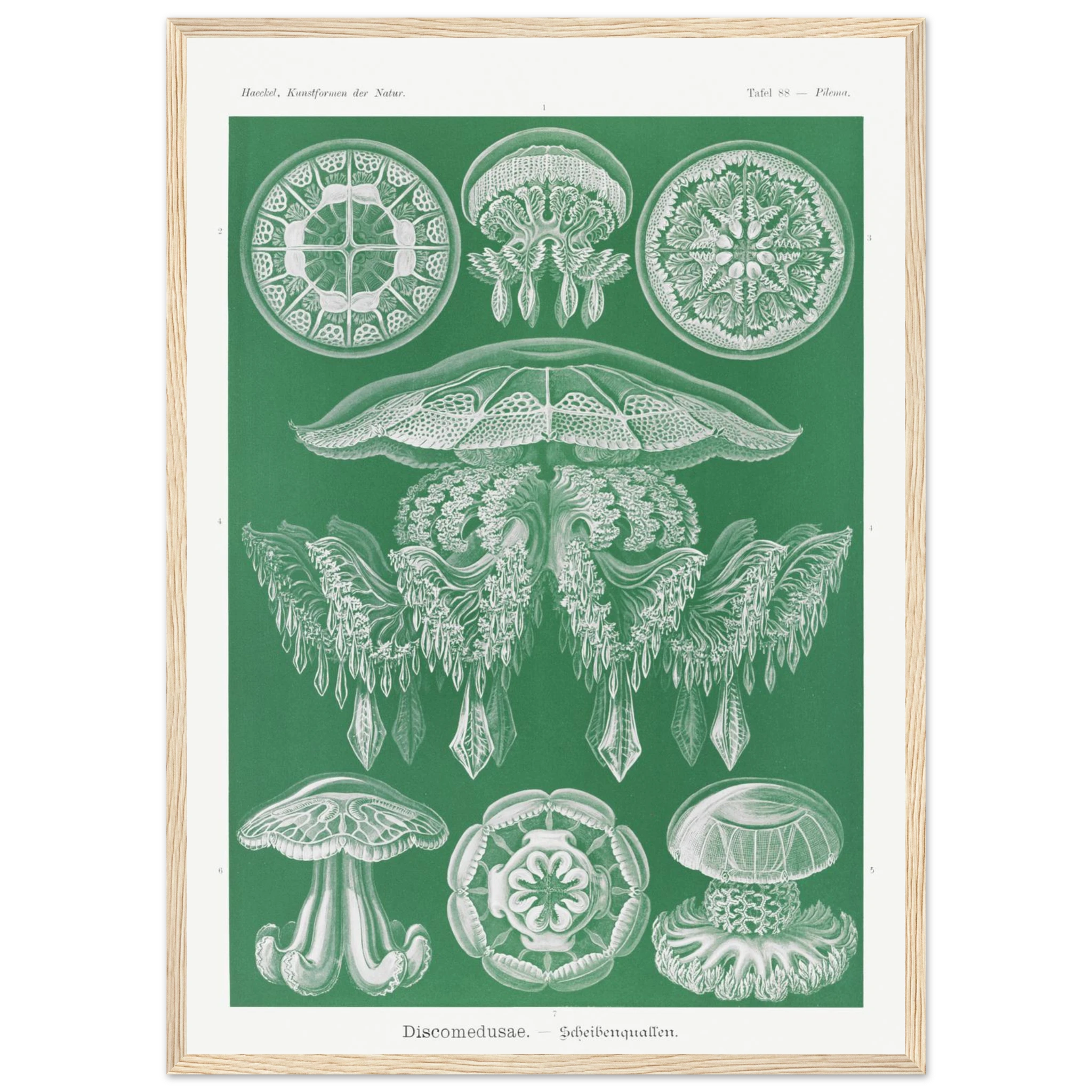 83e14e2c-e27b-4844-b01b-d4588c89c210