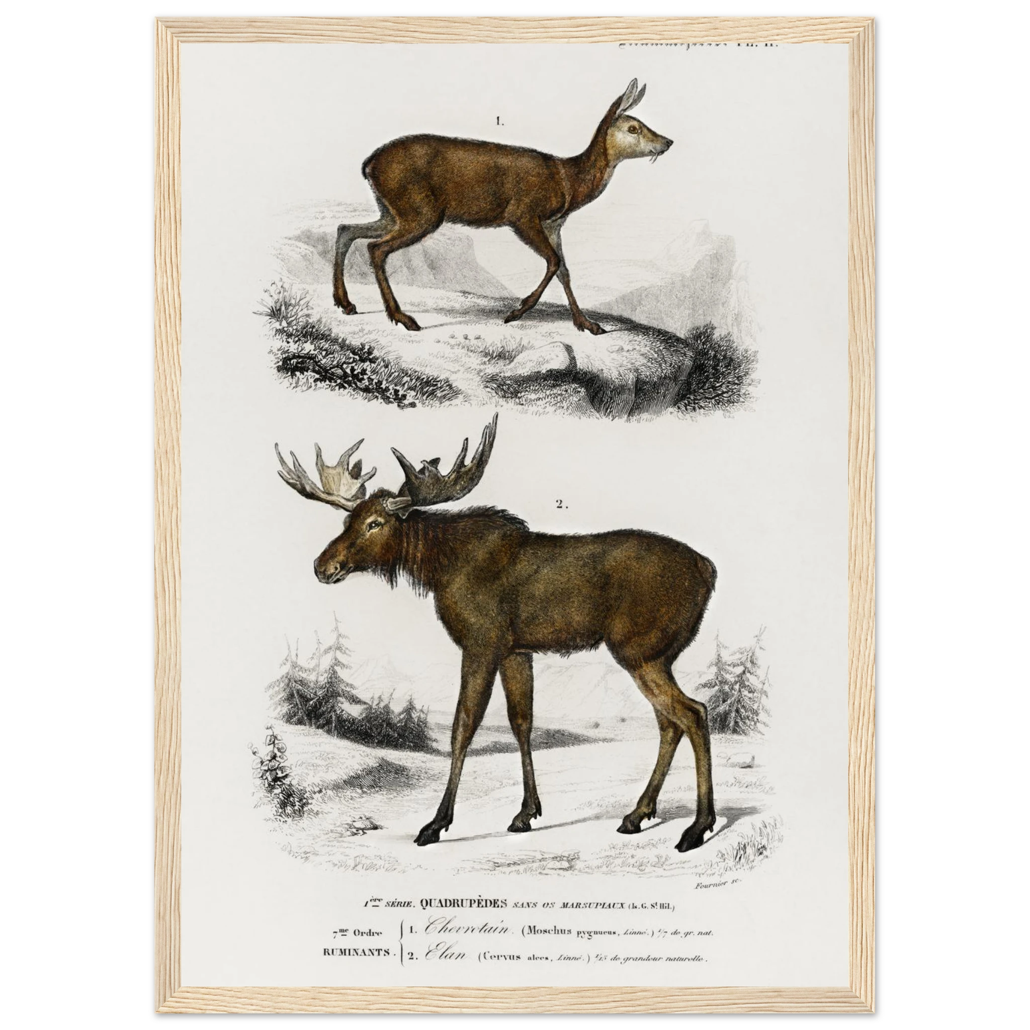 83e2ece6-bb97-44cf-9dc2-baaa875cd200