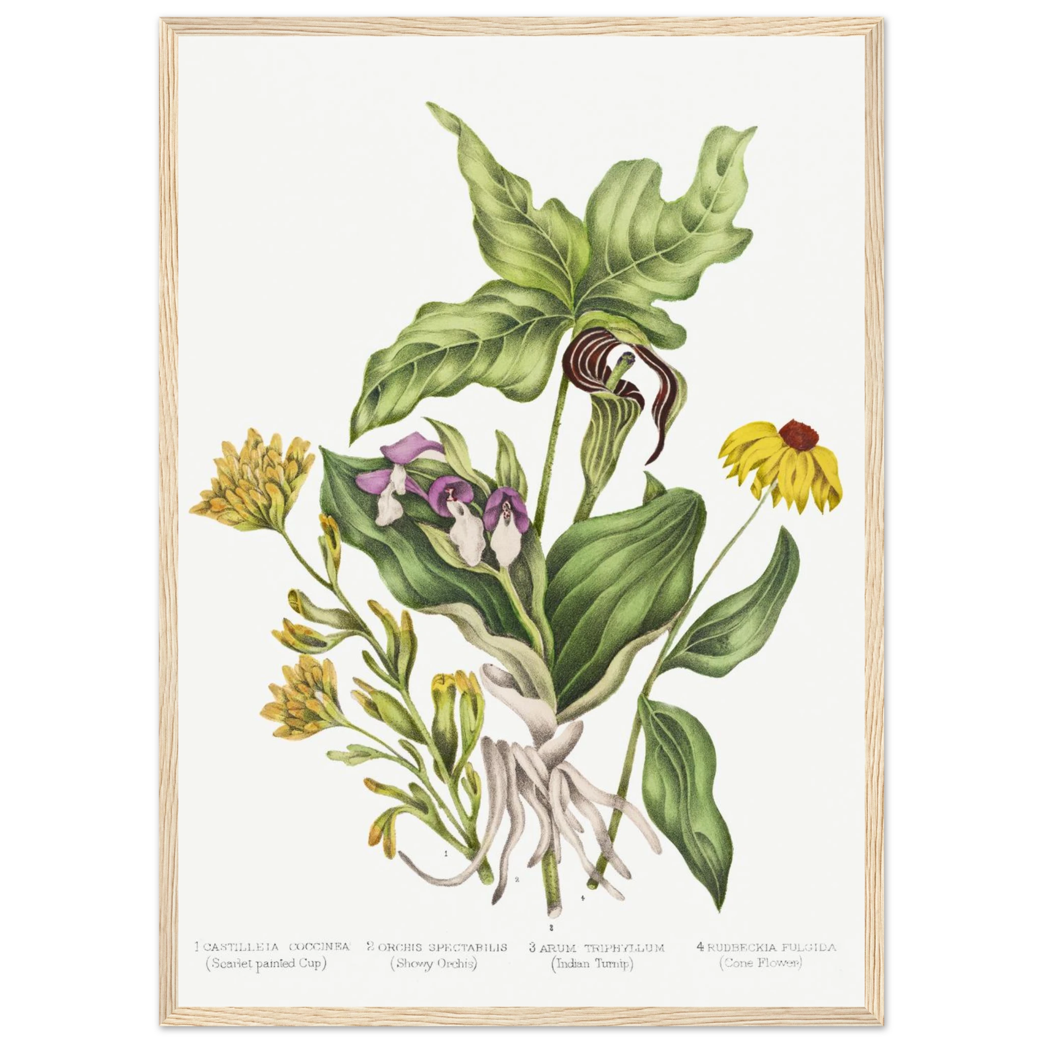 8467042e-fdb3-404a-92e4-6d5ab1d778f9