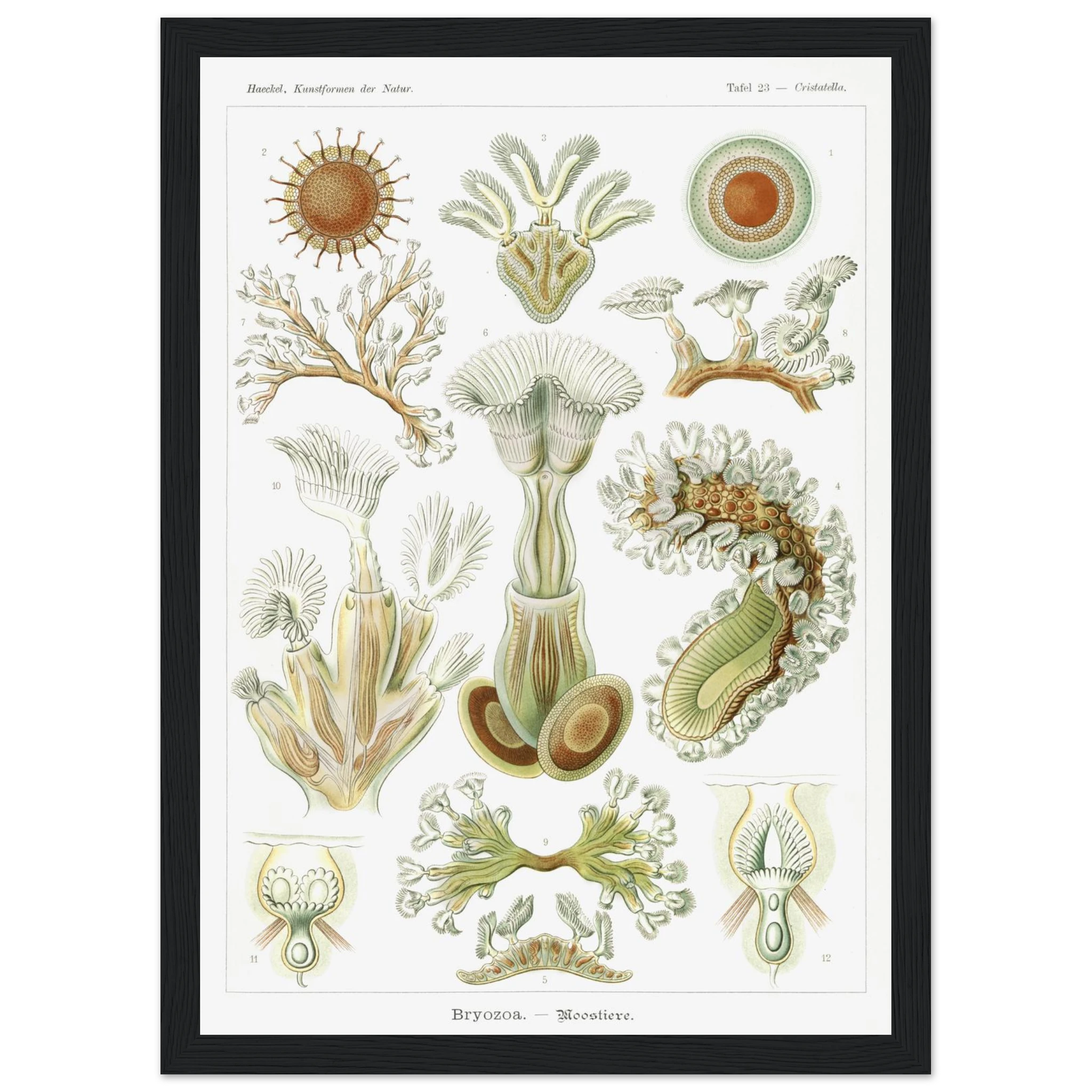 84792914-e60b-430e-8765-f472ed32ea9d