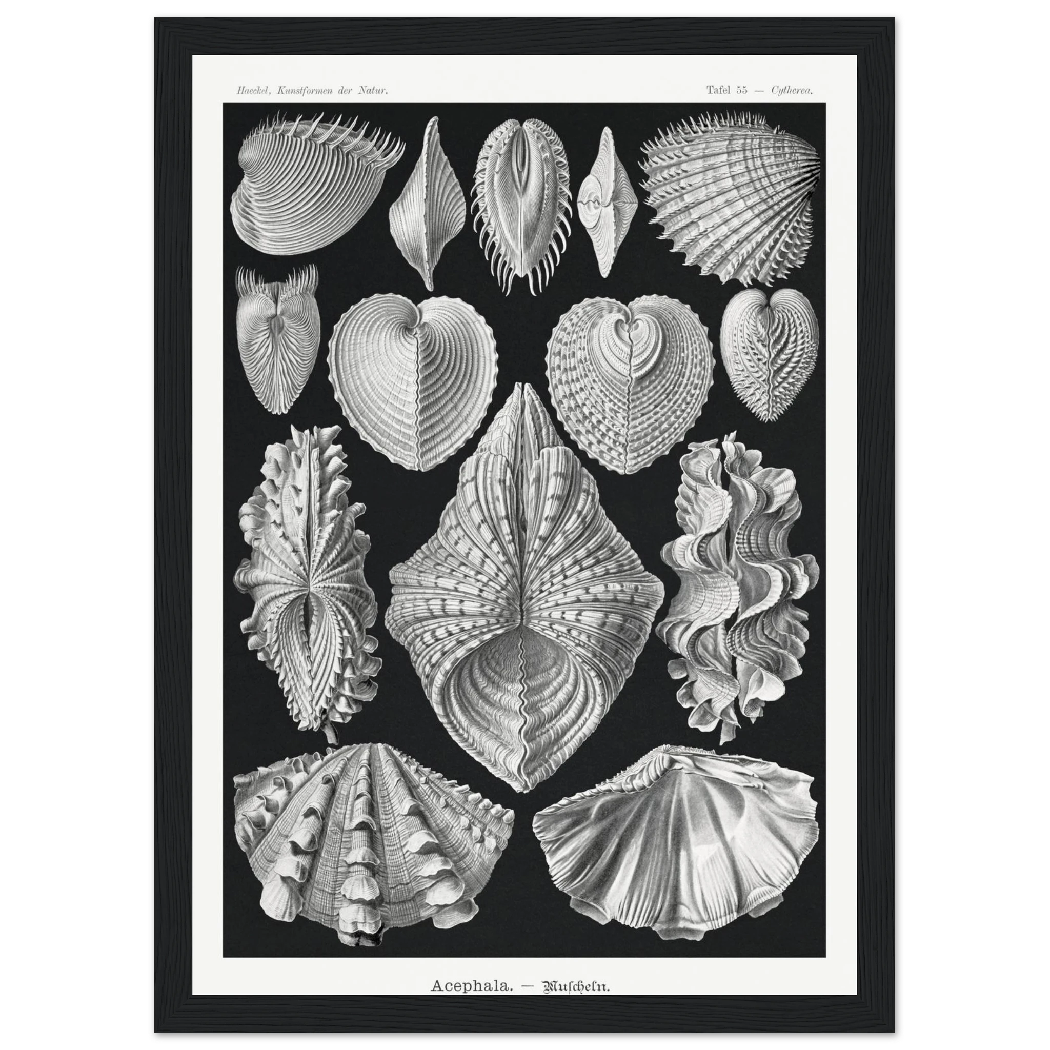 84cfe12e-eec3-49bd-94f2-e4ad026395bc