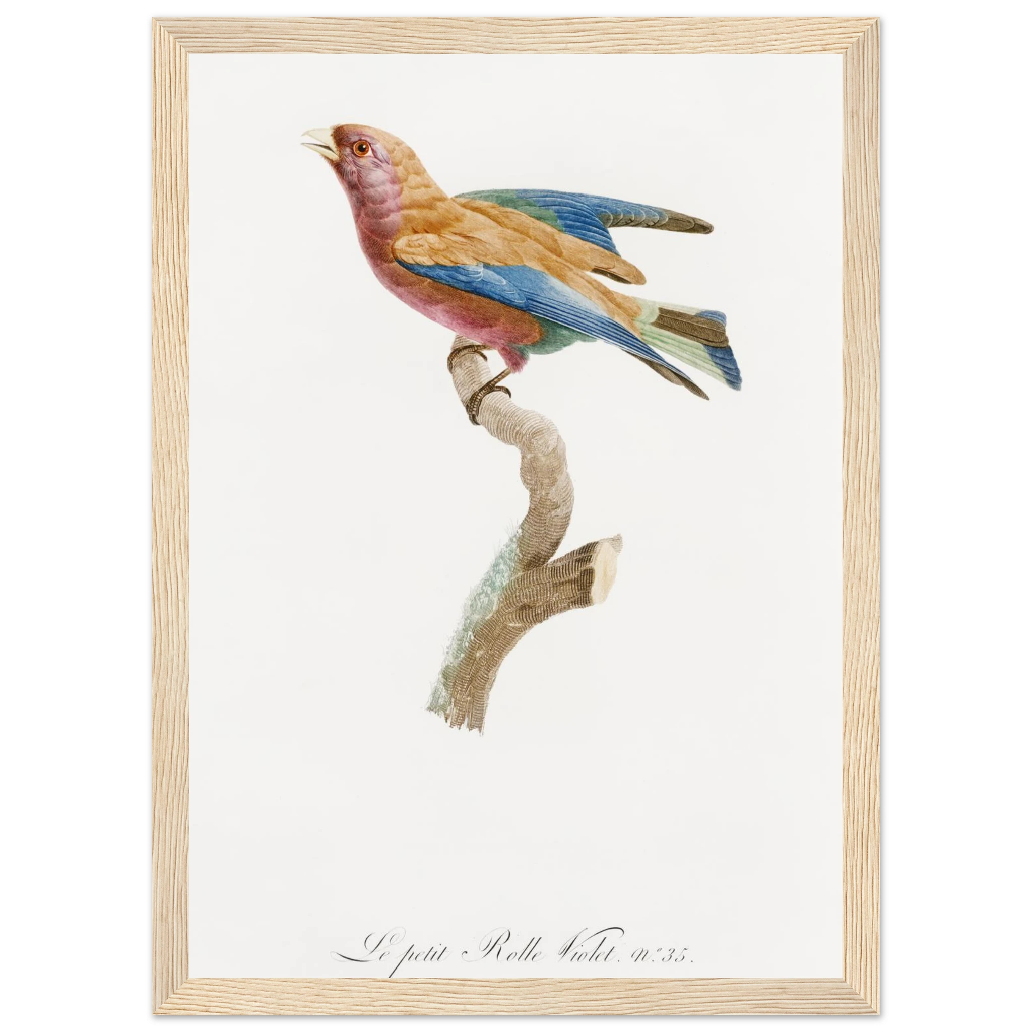 85c07475-8e41-4461-8e28-107b1920fba9