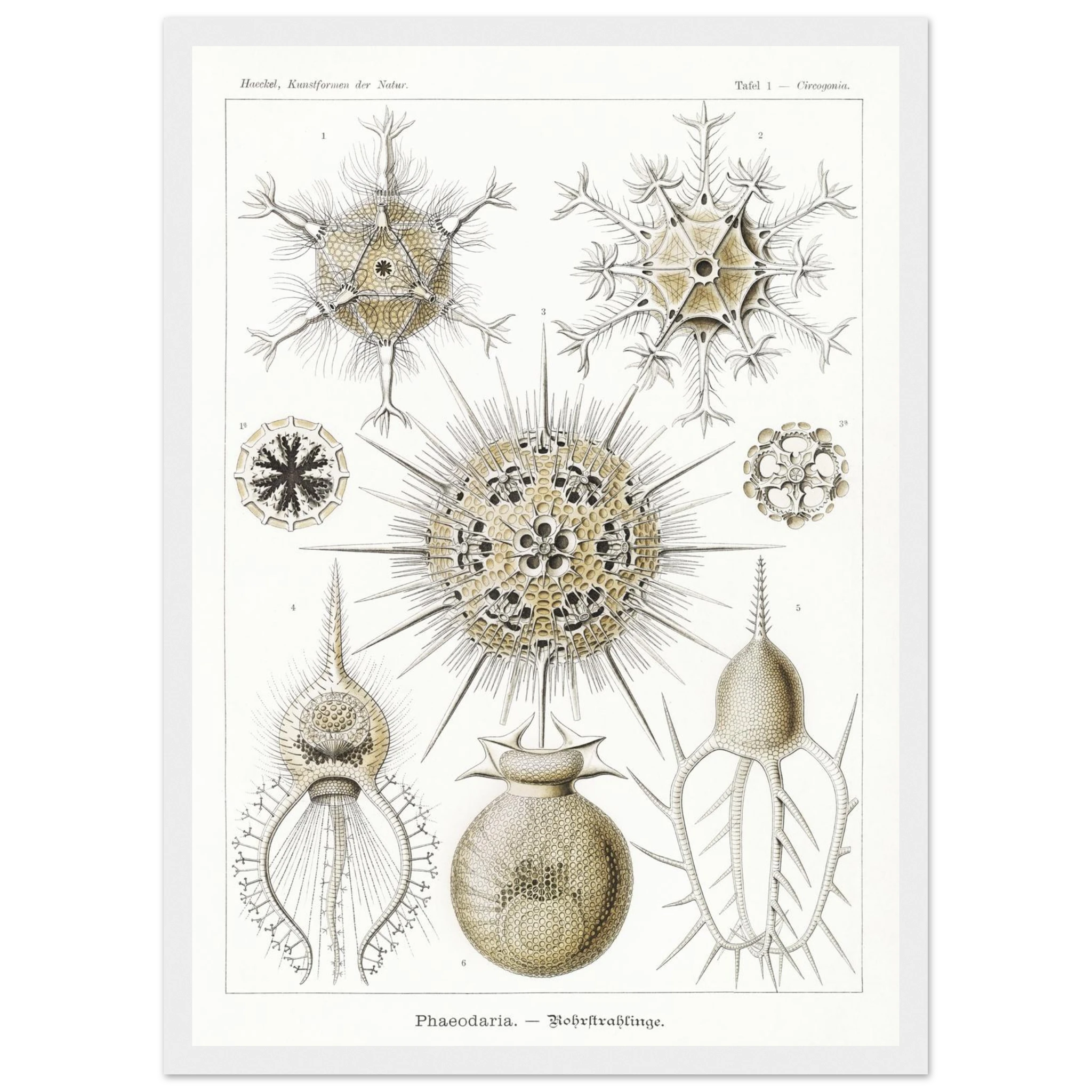 85d9641c-4211-4d78-9638-e932744d5ed3