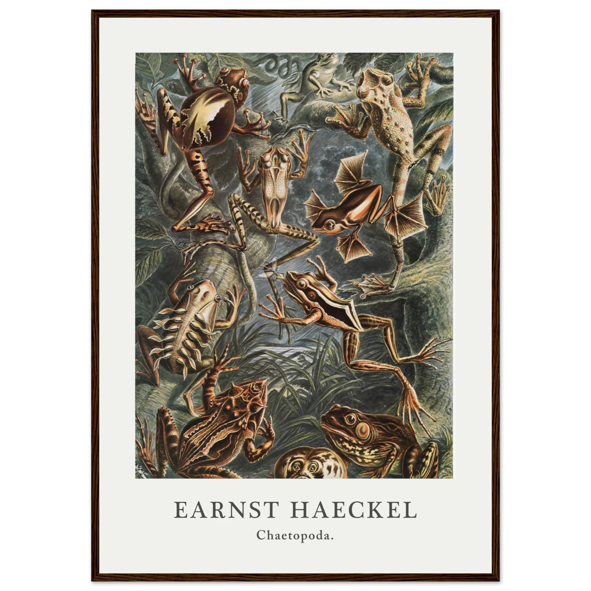 862e20cd-8a22-4df2-8a74-9aa66316e398