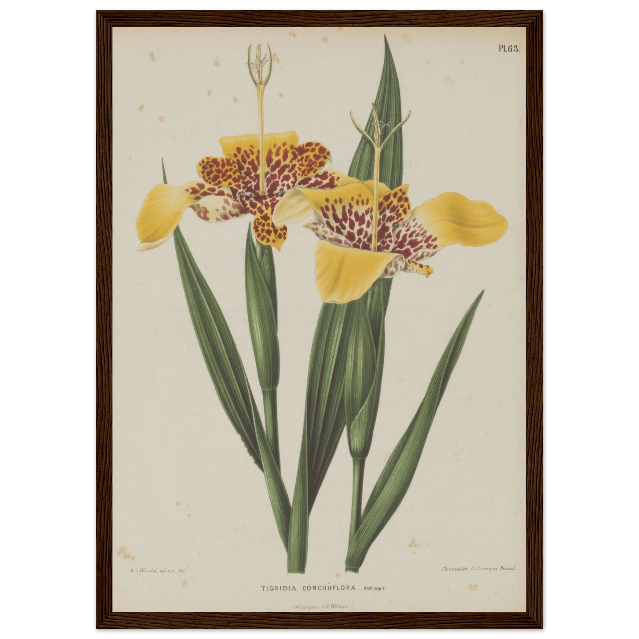 871ed673-5fa3-4b00-be43-e40826893ffd