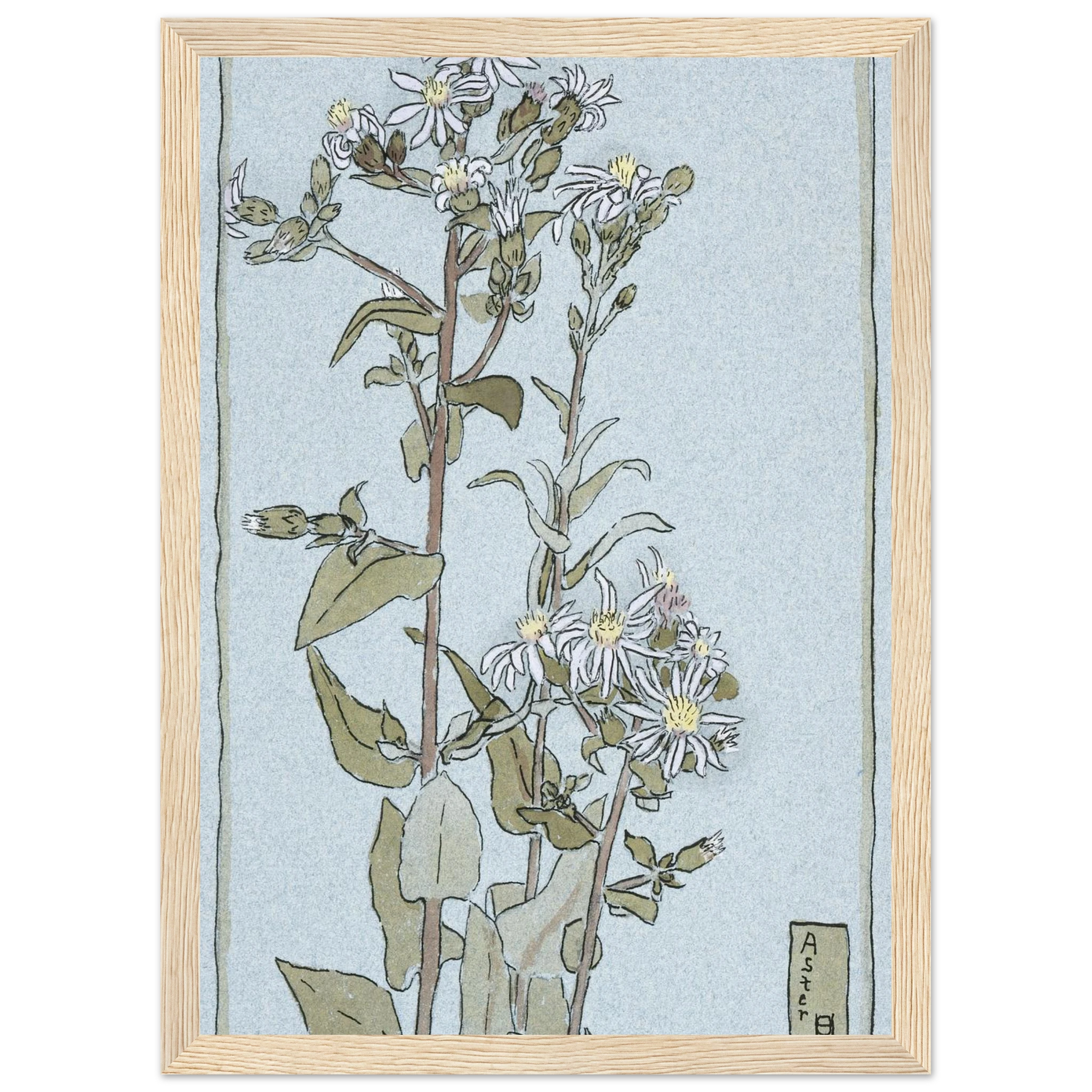 87585308-ef26-4bae-91b3-1c8a946b7633