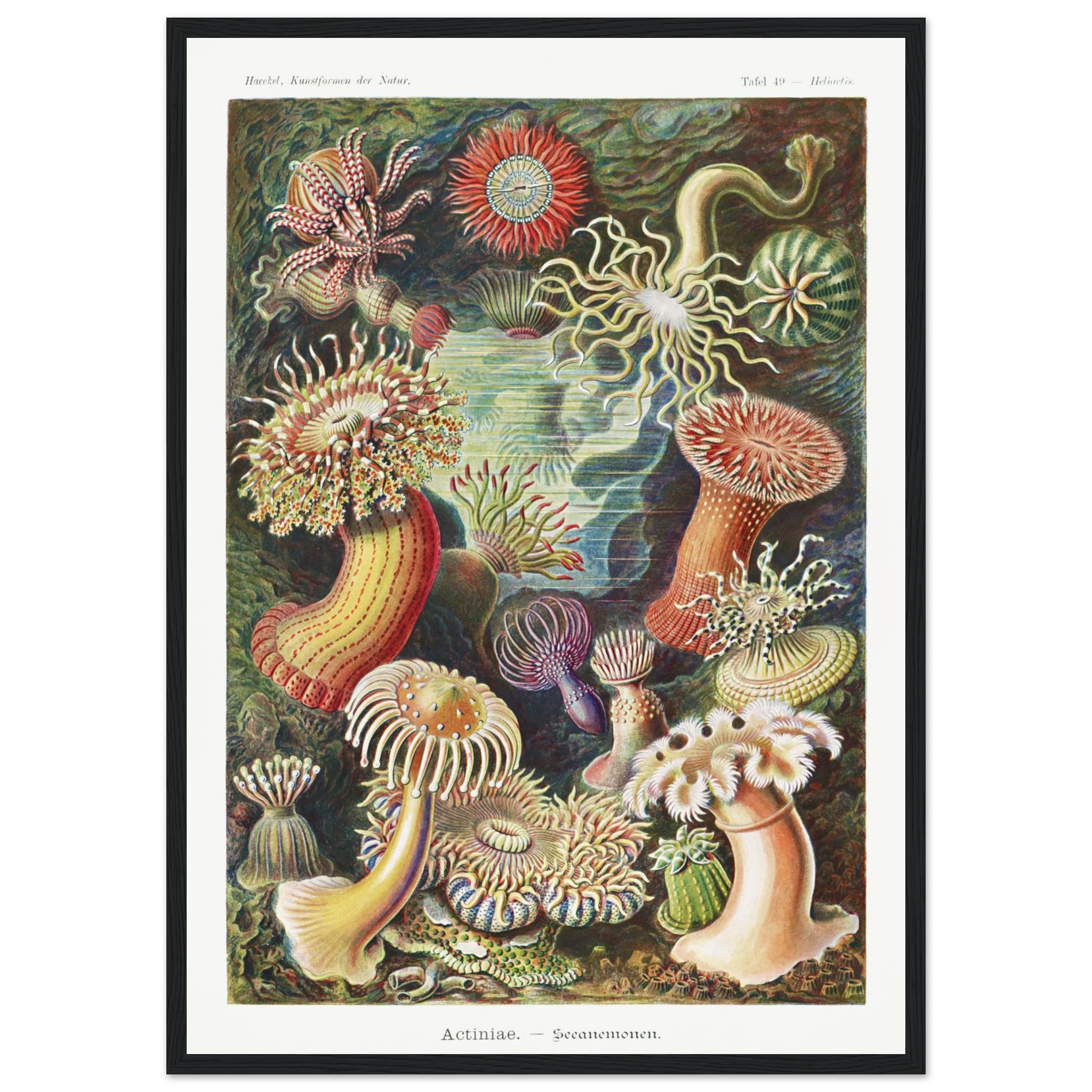 87f33b98-09cc-4648-9658-2028ce5ec20f