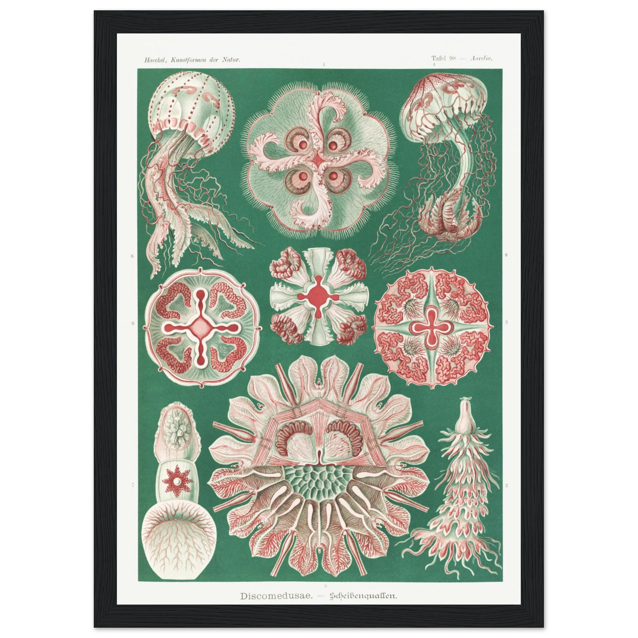 88476aea-88e5-4ac1-9830-91cc662f6543