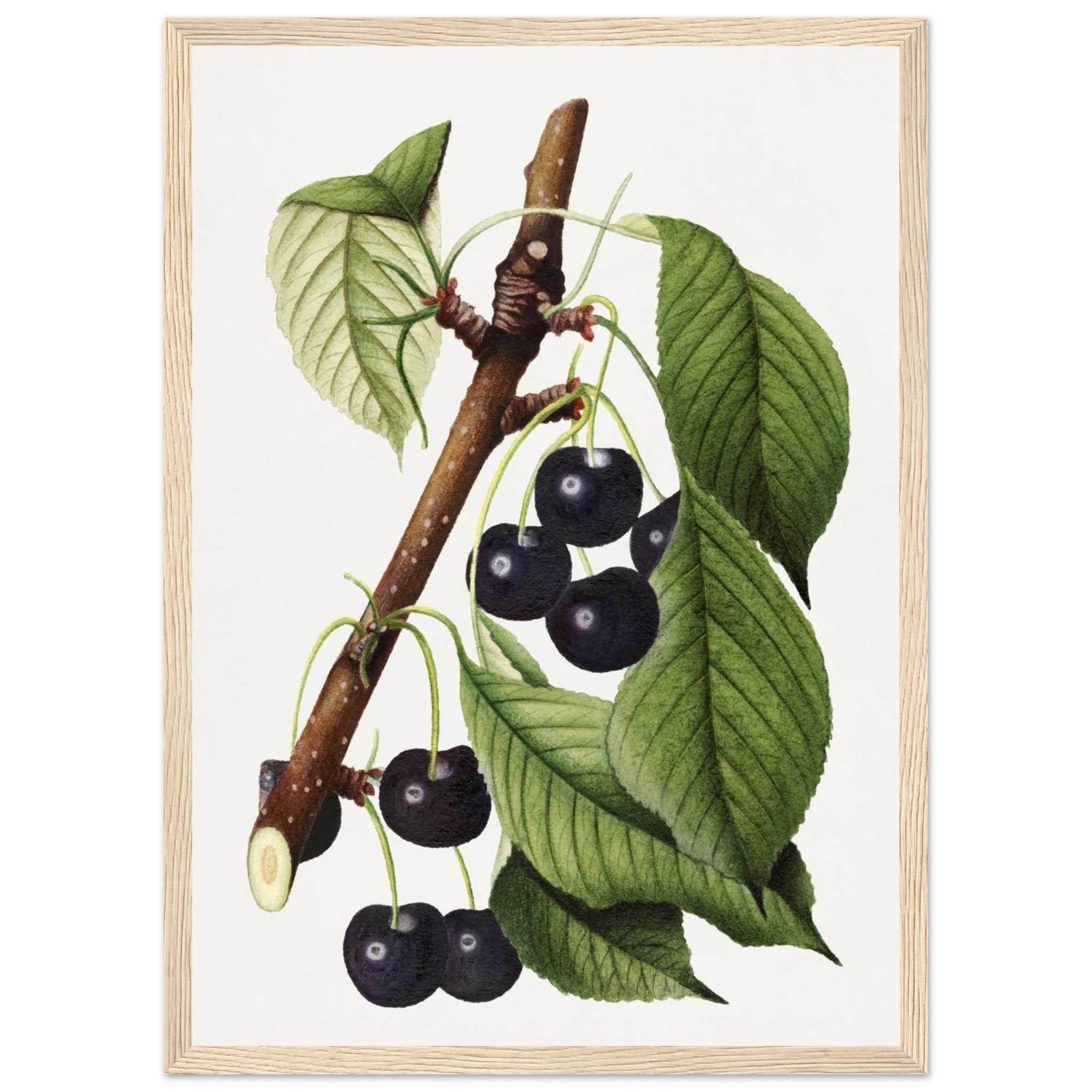 885a6163-3a10-4f90-a36b-cb7108a42e3d