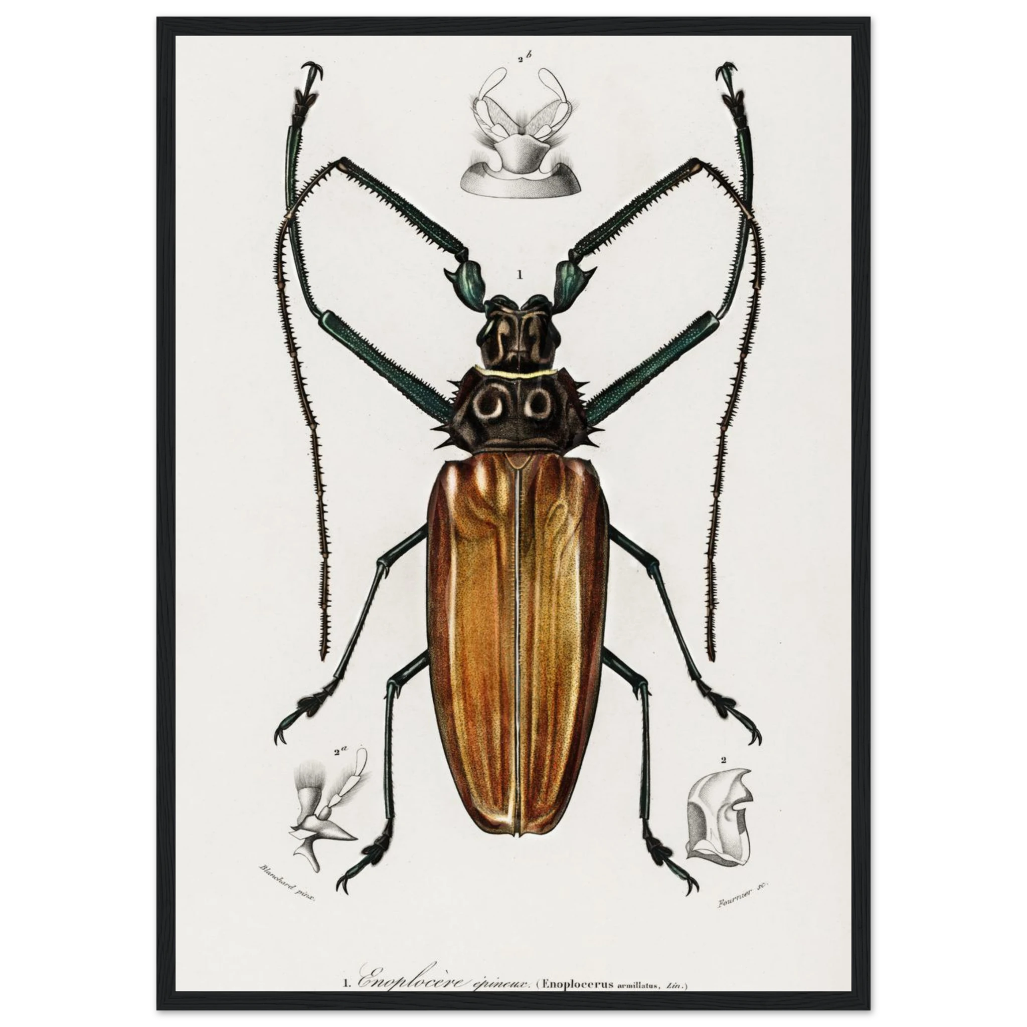 8862f3d6-4ad0-41d0-a990-62cf4f41153c