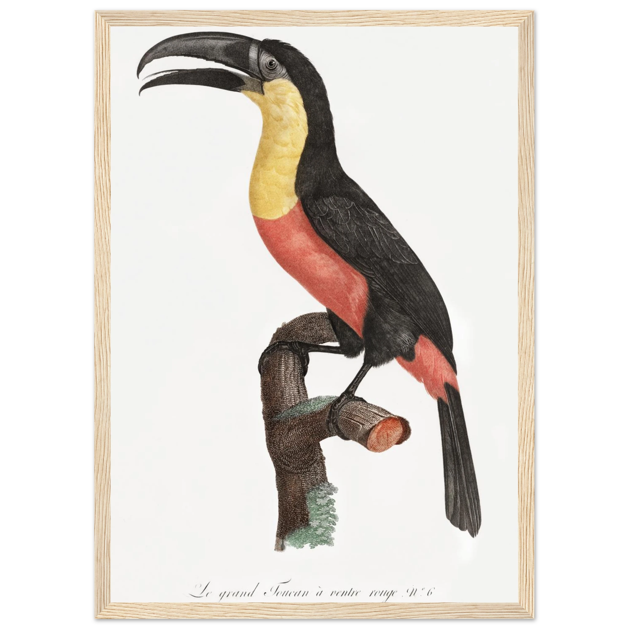 8863ec6a-a61e-4057-9ec0-f1c24f983036