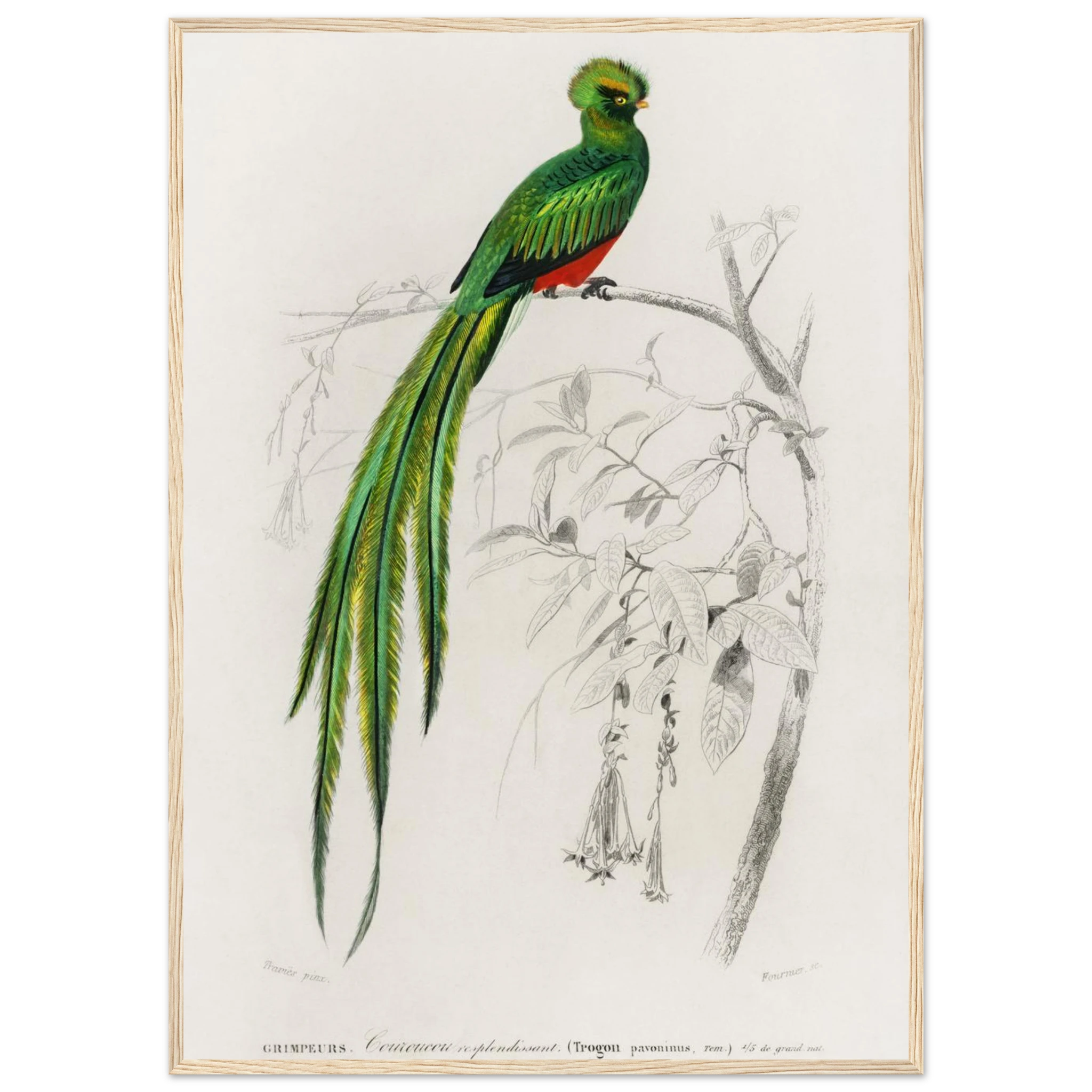 889befa7-dc0b-4269-9efc-58188c440f96