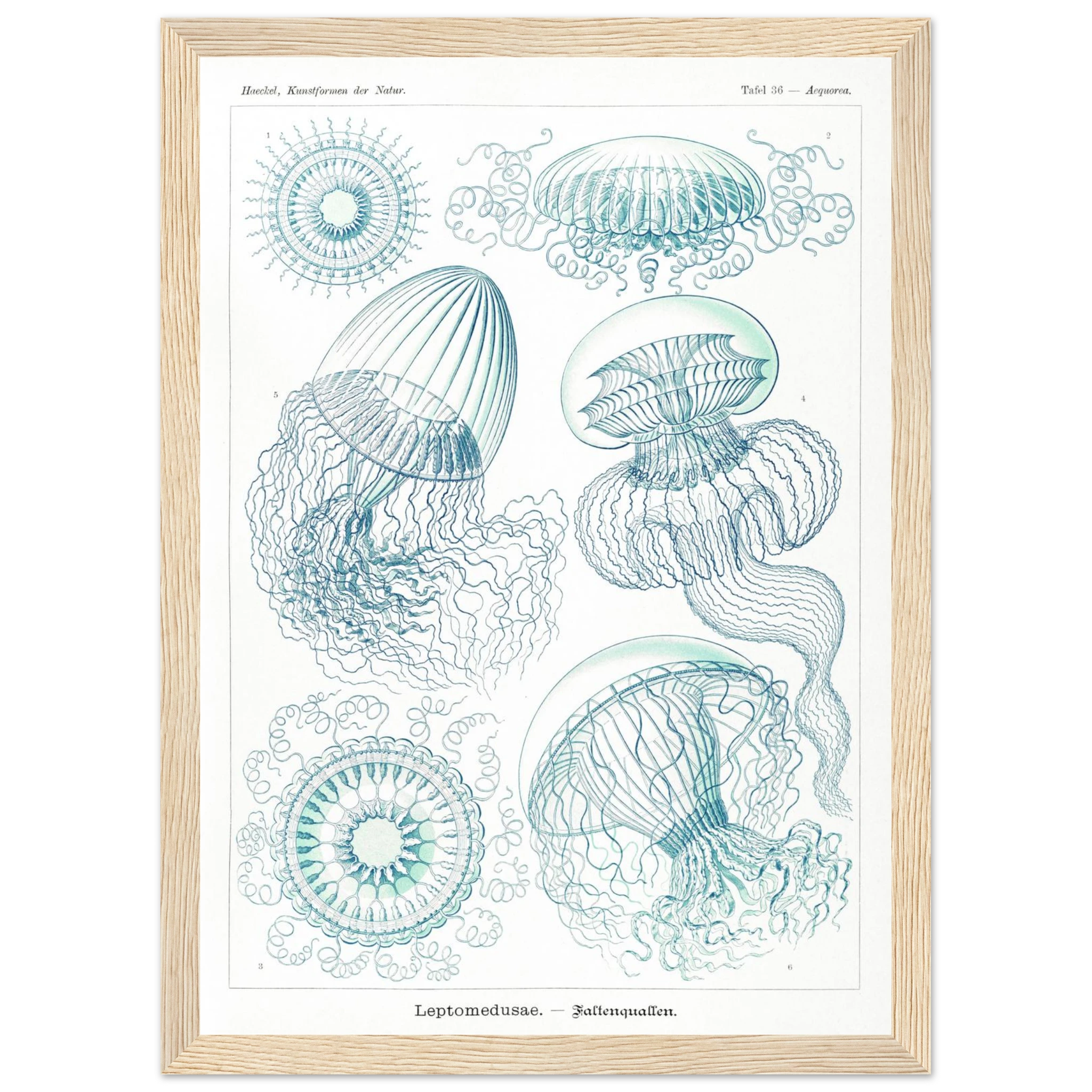 889ddcf4-9ed1-422d-94a8-fda65ae3c310