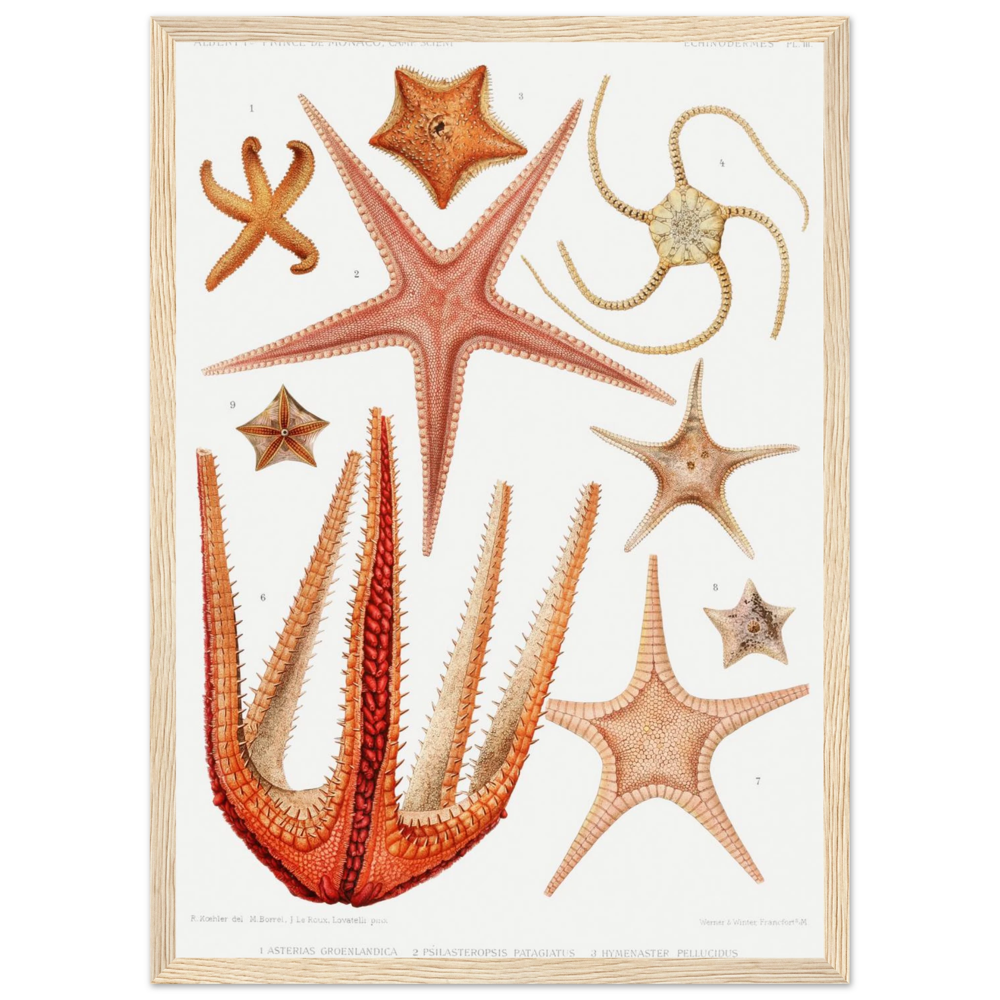 889e1fa6-3f97-4fe6-b0c0-9d4bbbd431d6