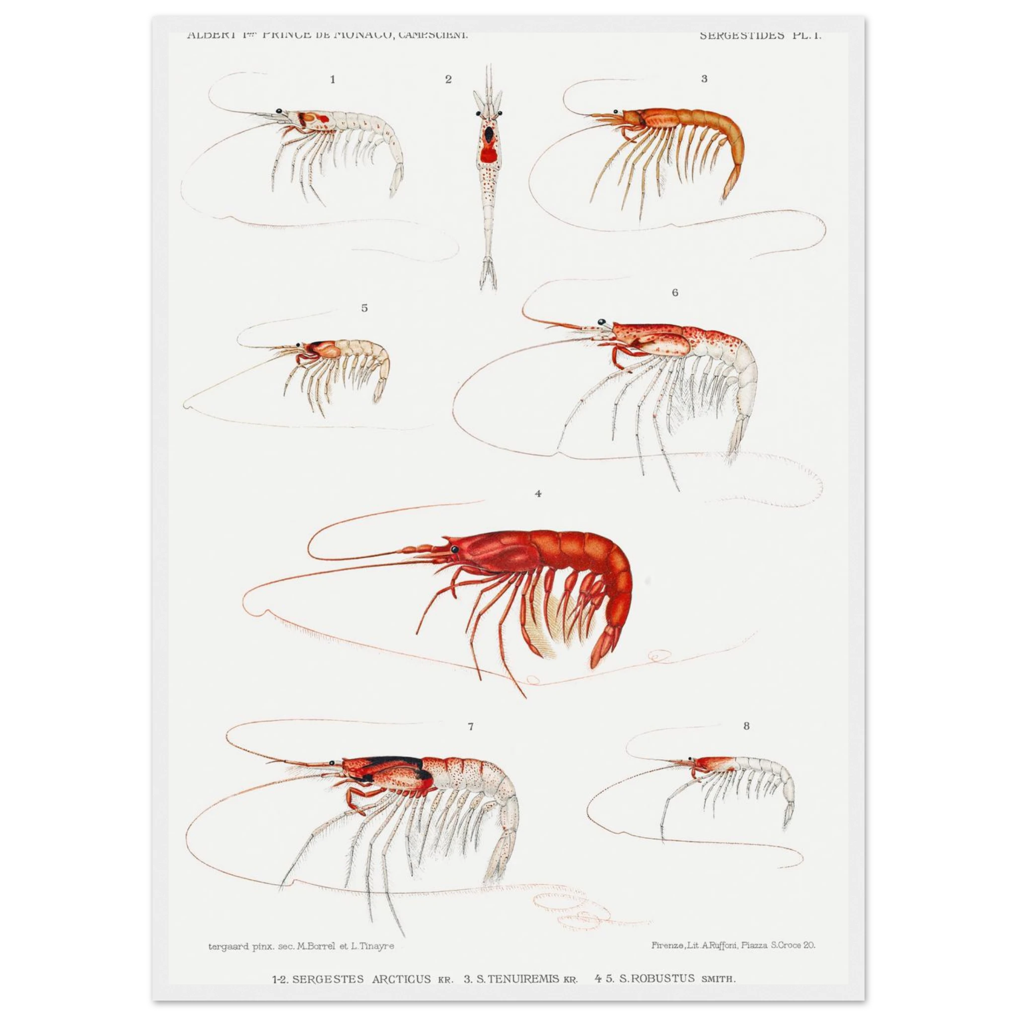 88e07954-8161-4f92-82fe-bcea0fedc051