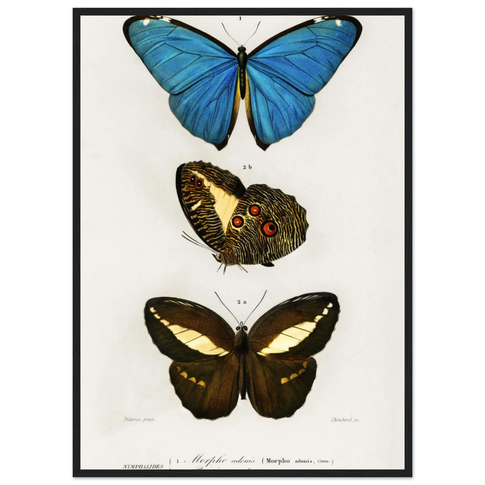 8902d3d8-c7dc-4eb7-954f-07ad6696c616