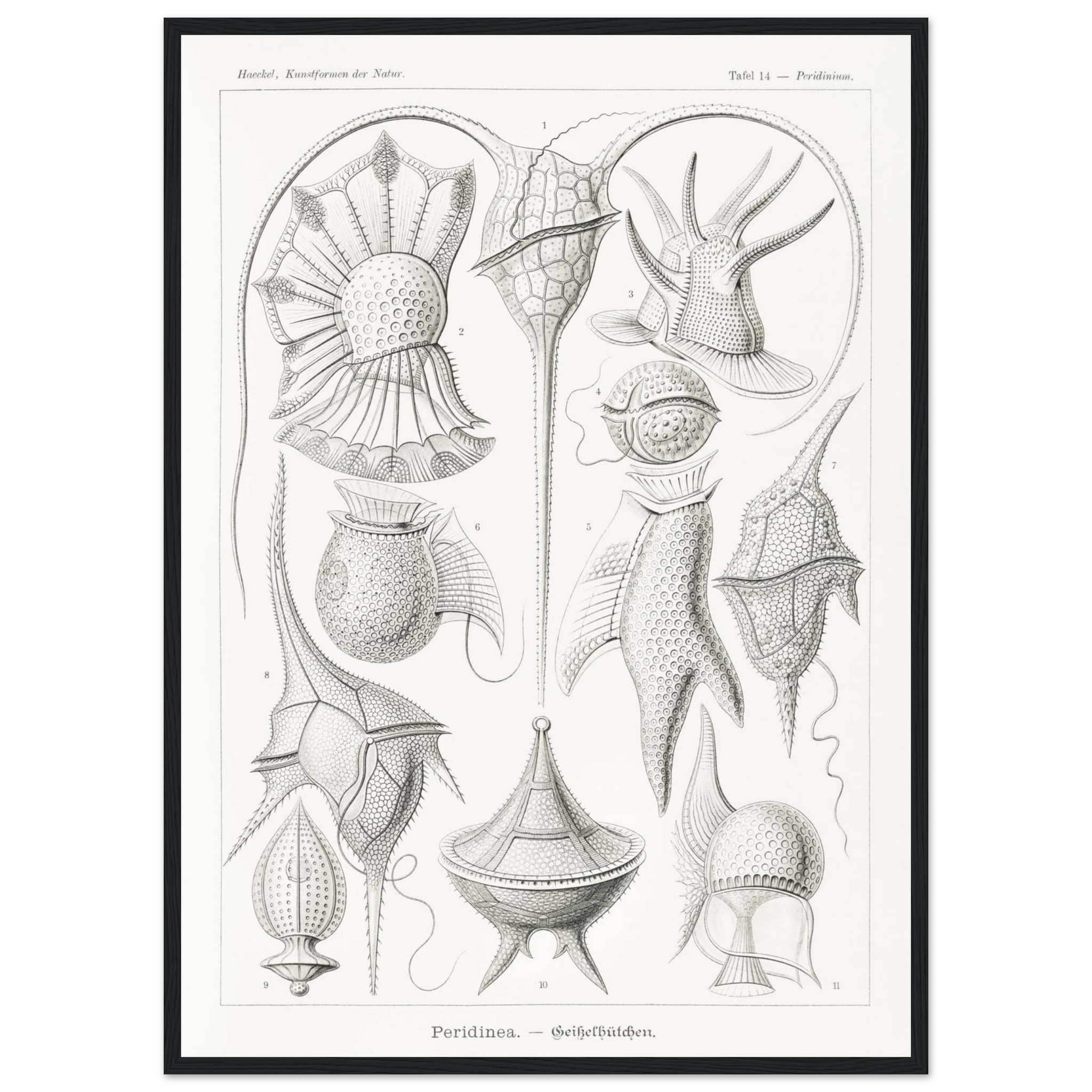 892eab40-44f1-474e-a1f1-ddc4a04a6c85