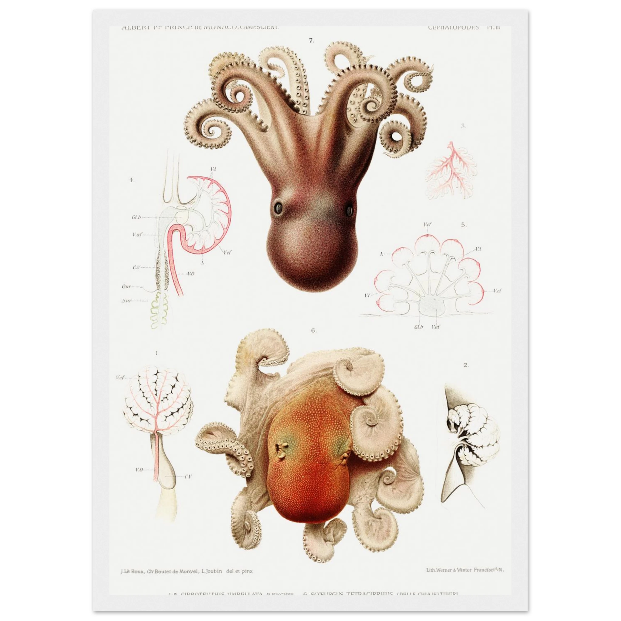 894572b6-3469-466f-bfd7-74a88a0f311c