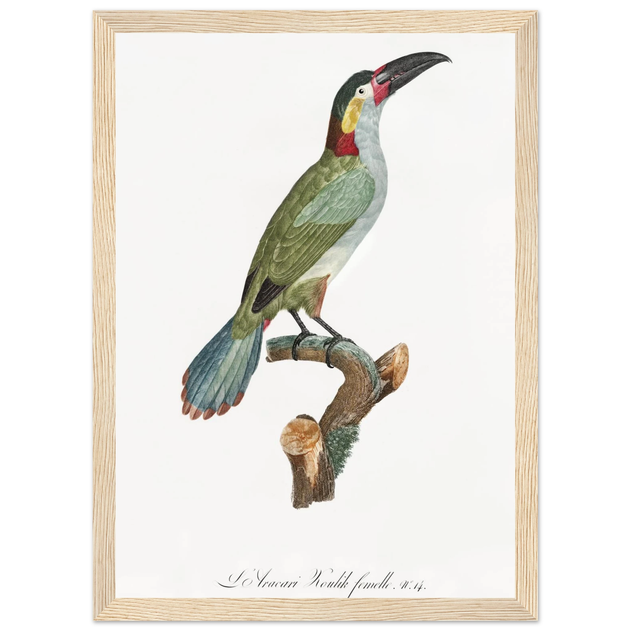 89463b72-ea6f-436b-b8a1-e41d22eac454