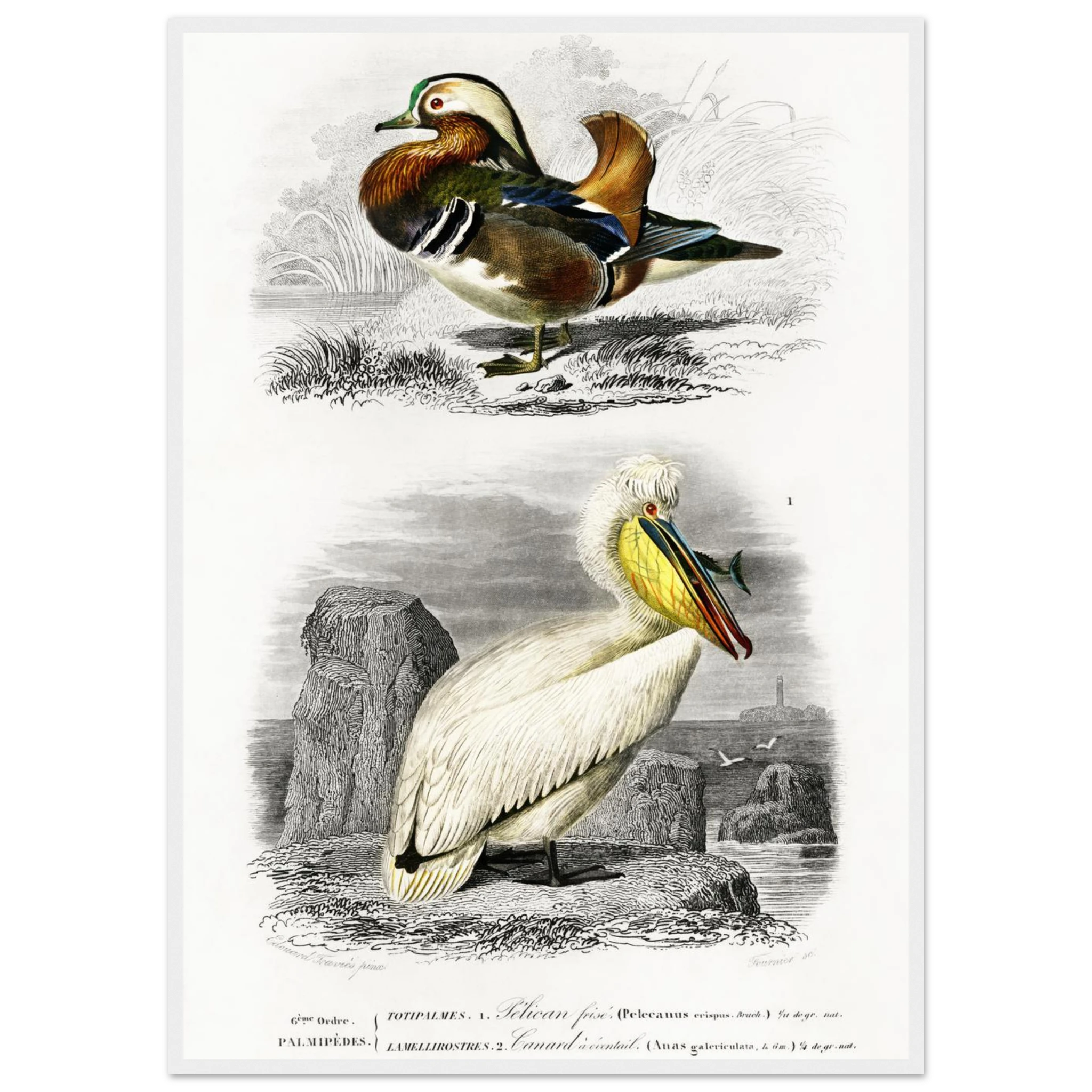 894acb72-5956-4a72-b14d-632f74225ca0