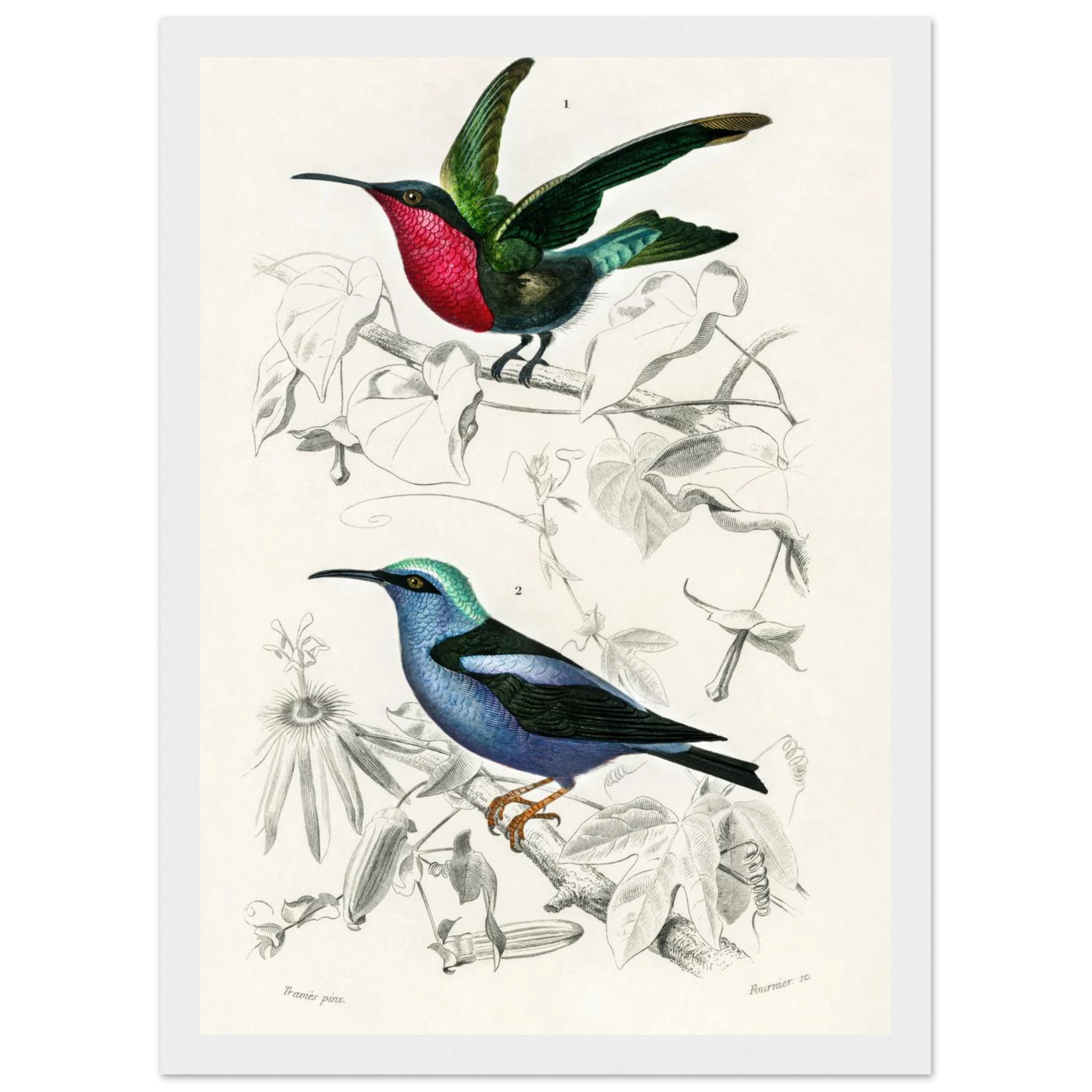 894d7240-10a3-474a-81eb-b41e68e7c740