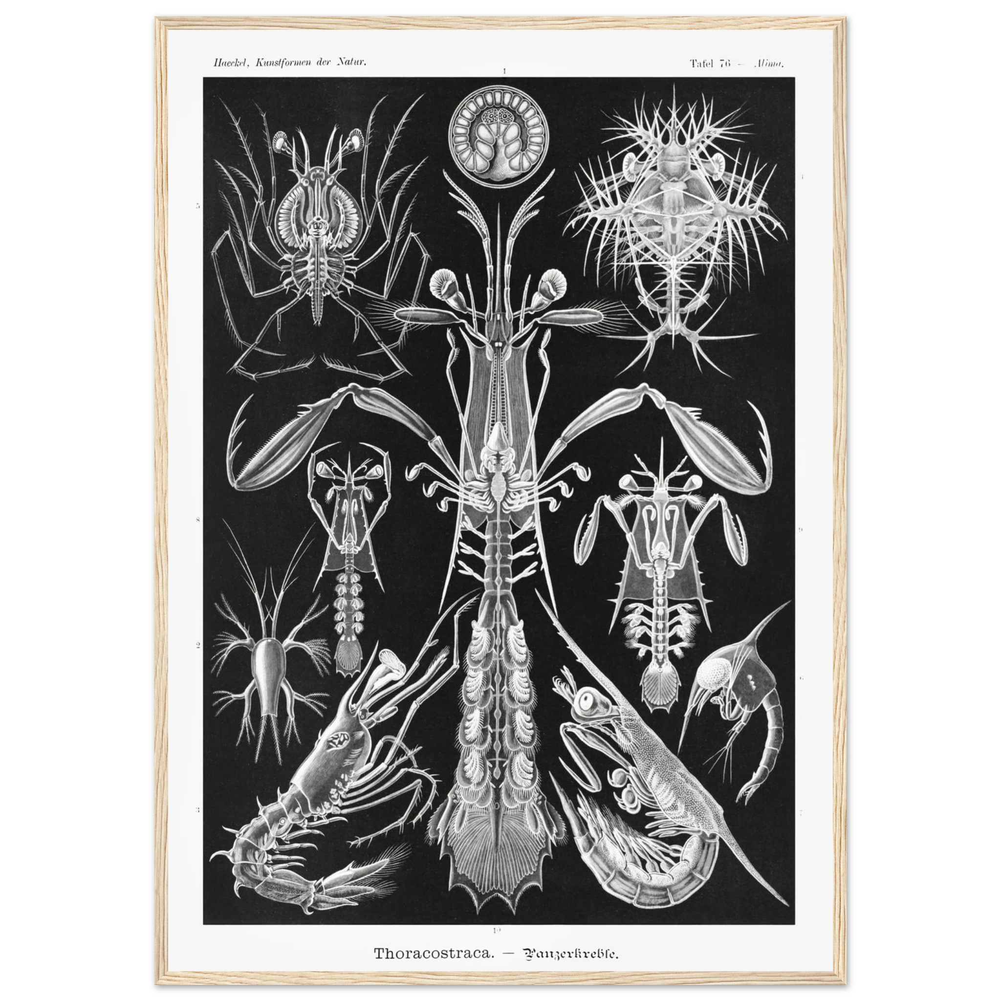 89a0aa8b-6cc2-4ae0-bb28-ca05a6469c89