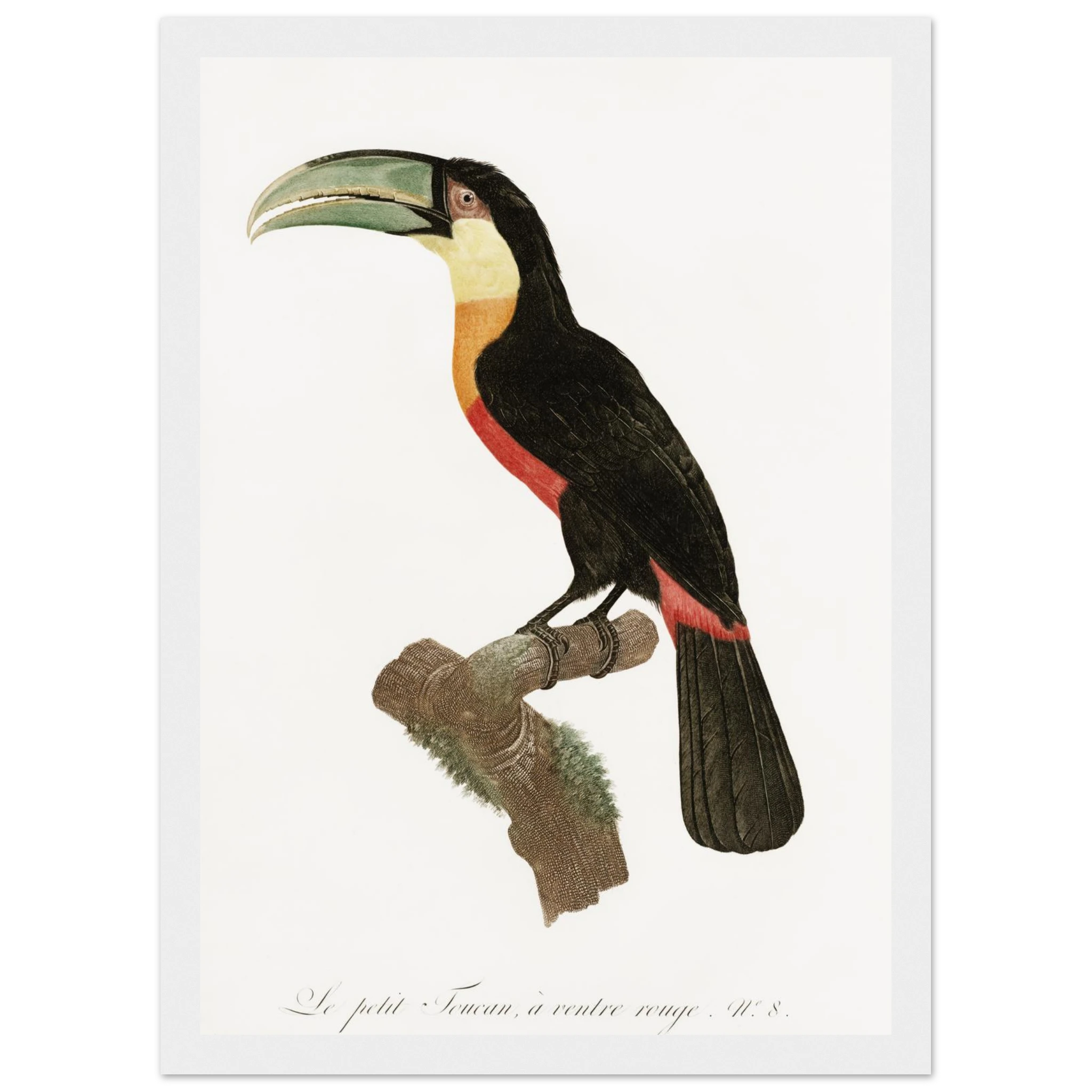 89c4da2b-7624-40d9-9de7-11c5acbf307f