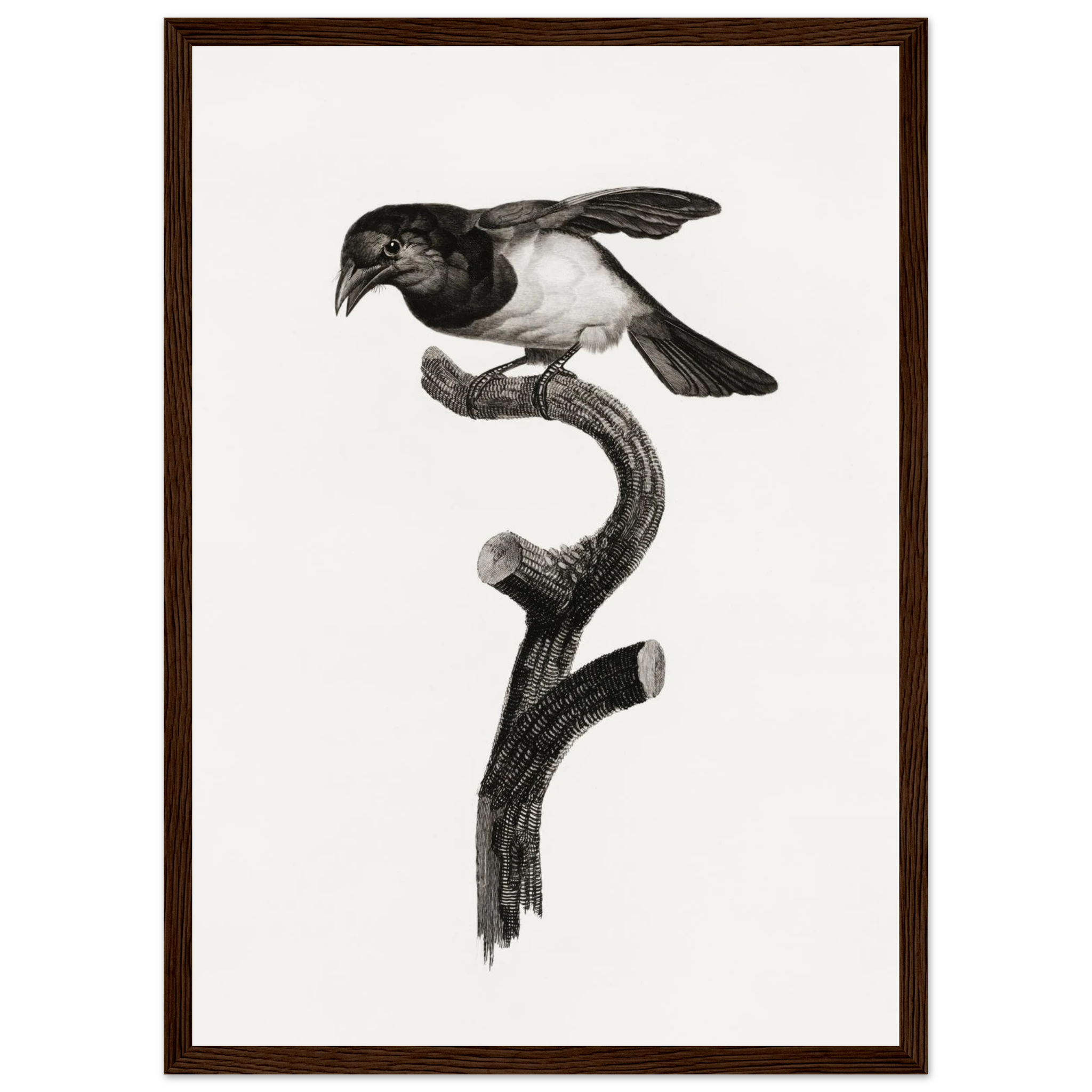 8a7e9f6b-5bf3-496b-bc22-4fc23eb8b96a