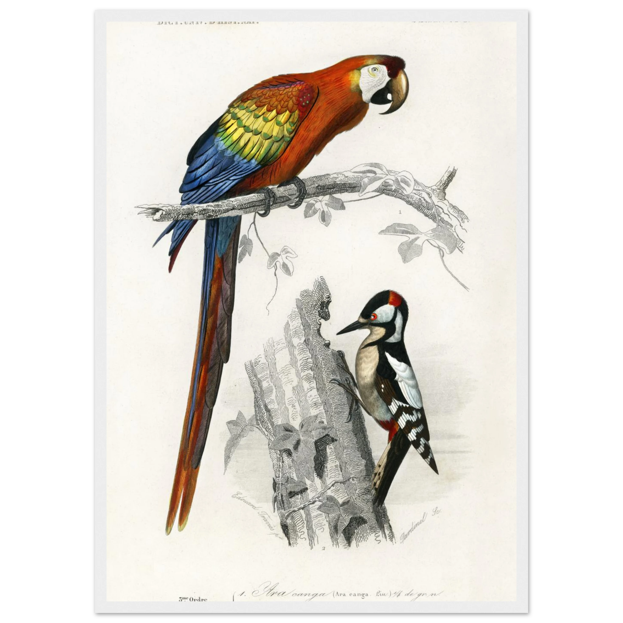 8ad732fe-74c0-4978-8f88-5b0b14e6f1ff