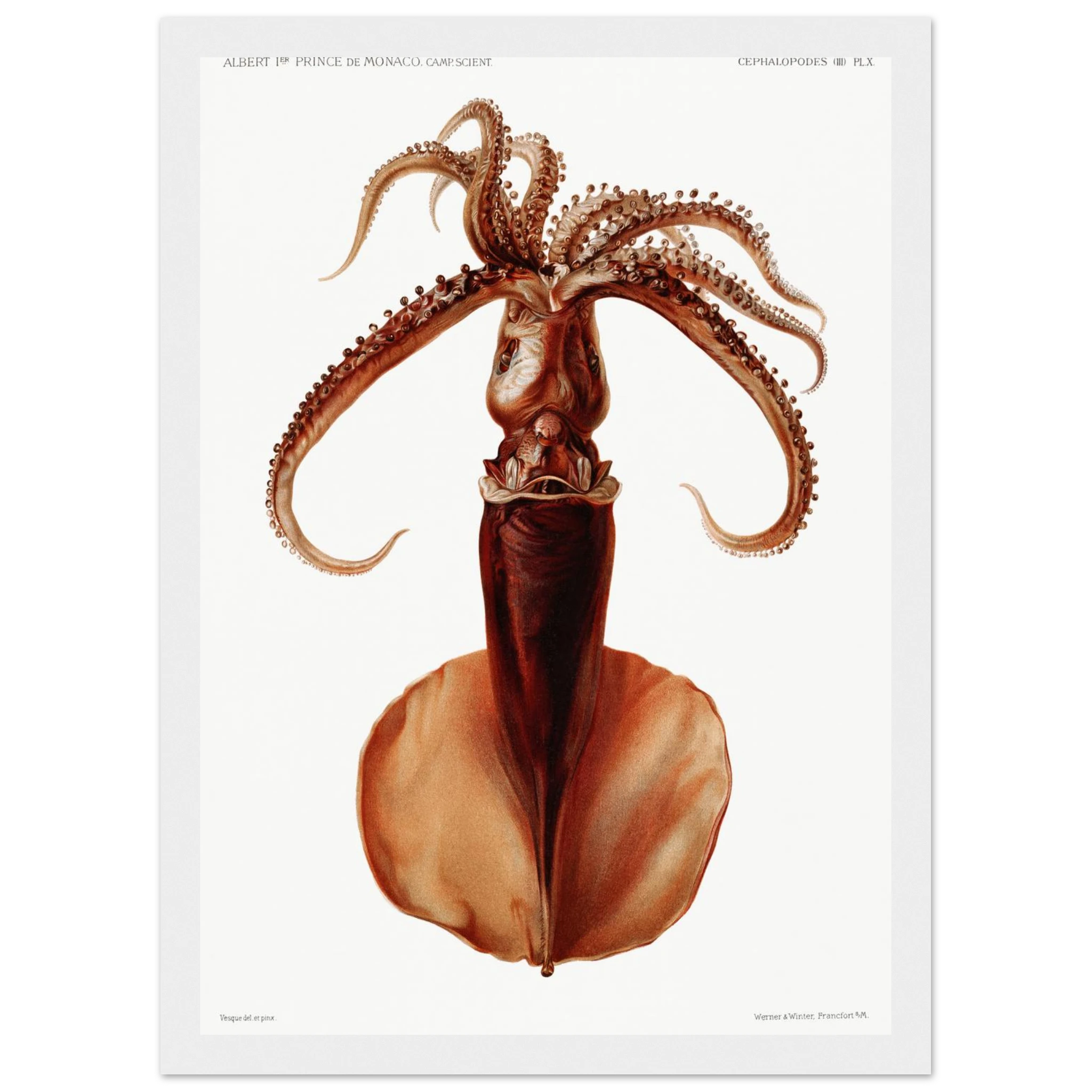 8af6335b-929f-4781-91d0-949ddf0f83eb