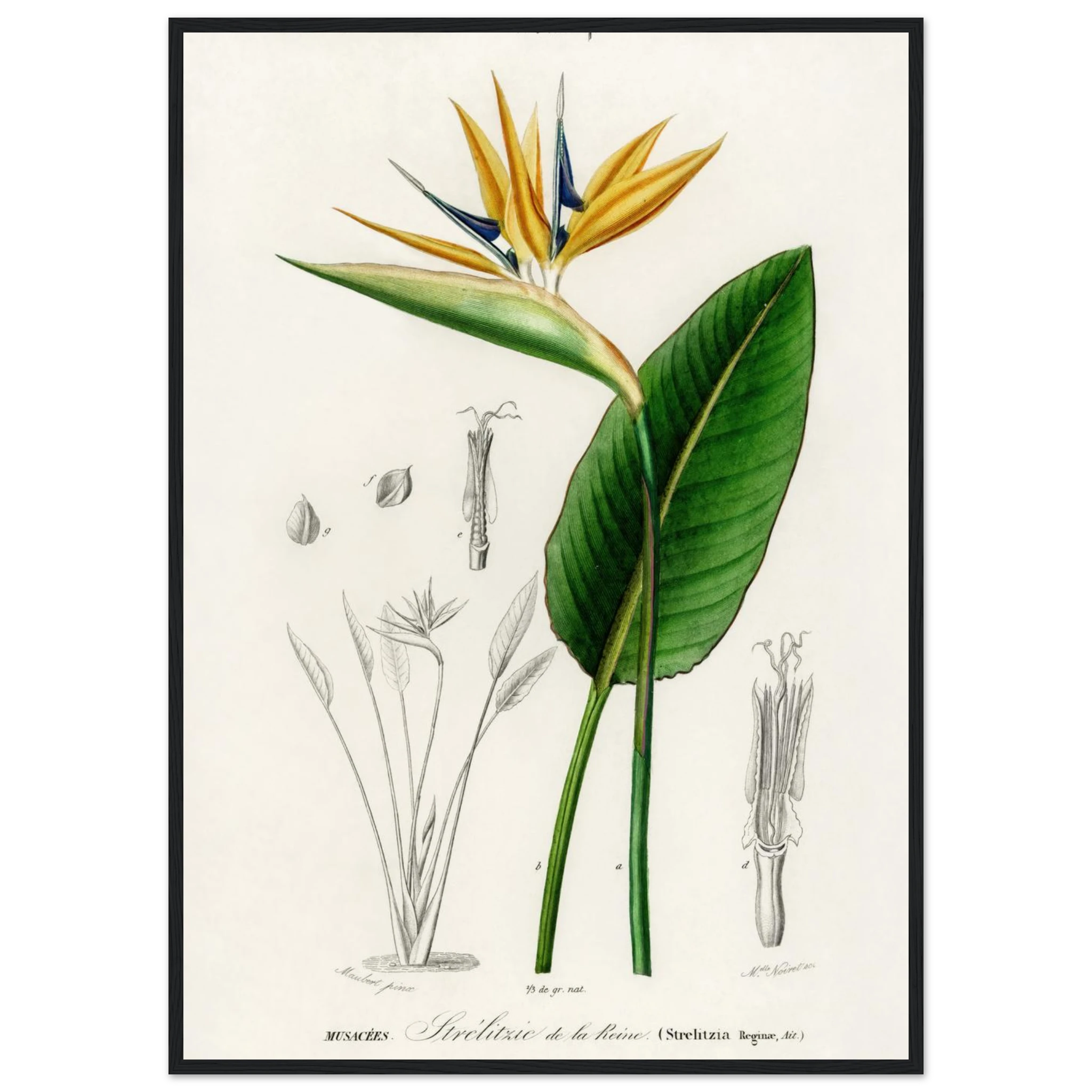 8b0e3501-4a87-43fb-9abd-3d20732e5936