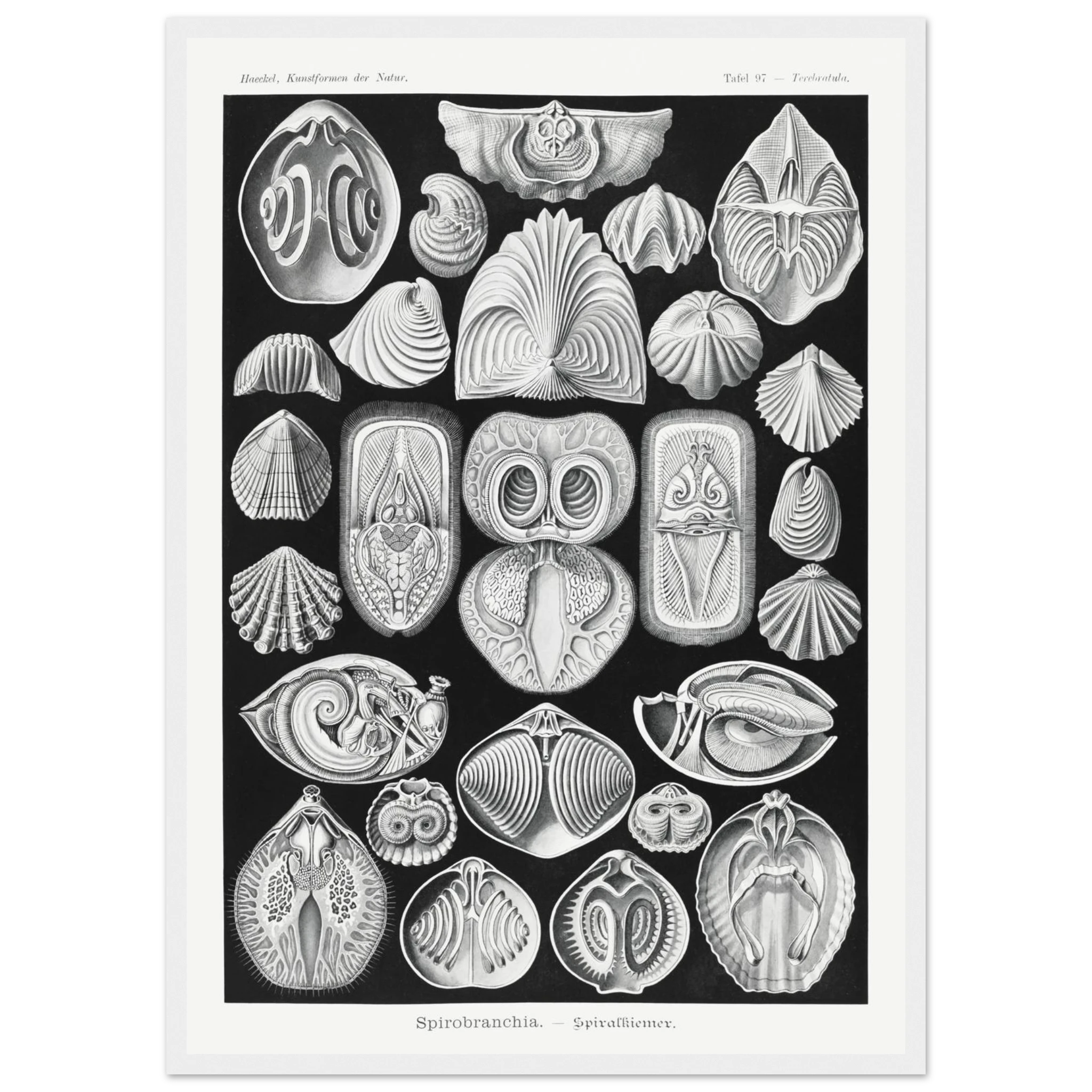 8b3ab255-1c38-491f-94cb-353e3fcf71b4