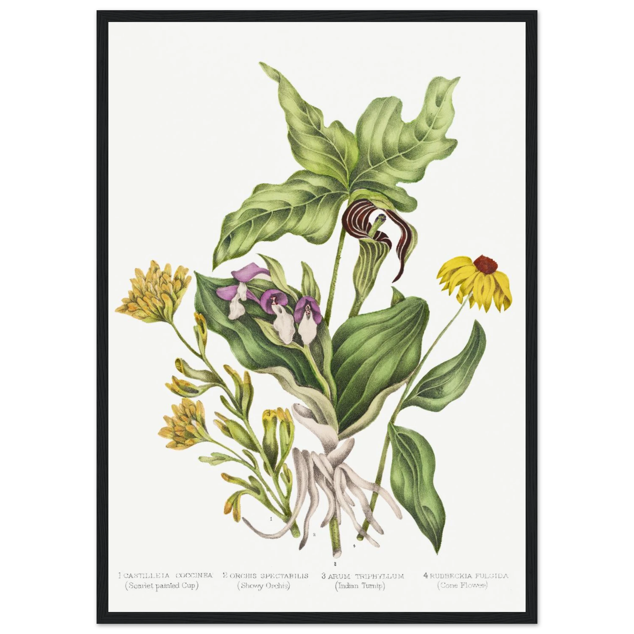 8b826851-0844-4918-86ba-d5d852593f48