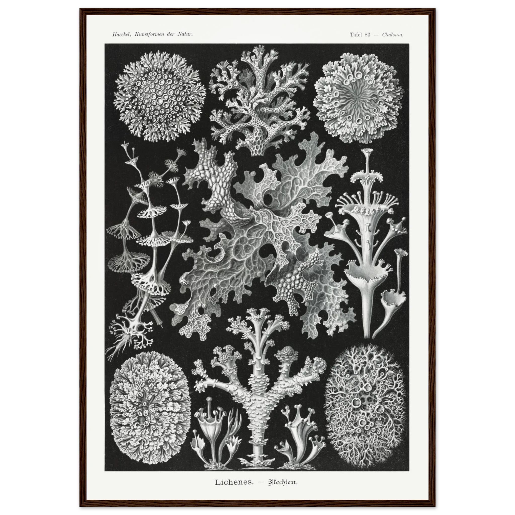 8ba5bcc1-78e5-4b92-a34e-202890e2c303