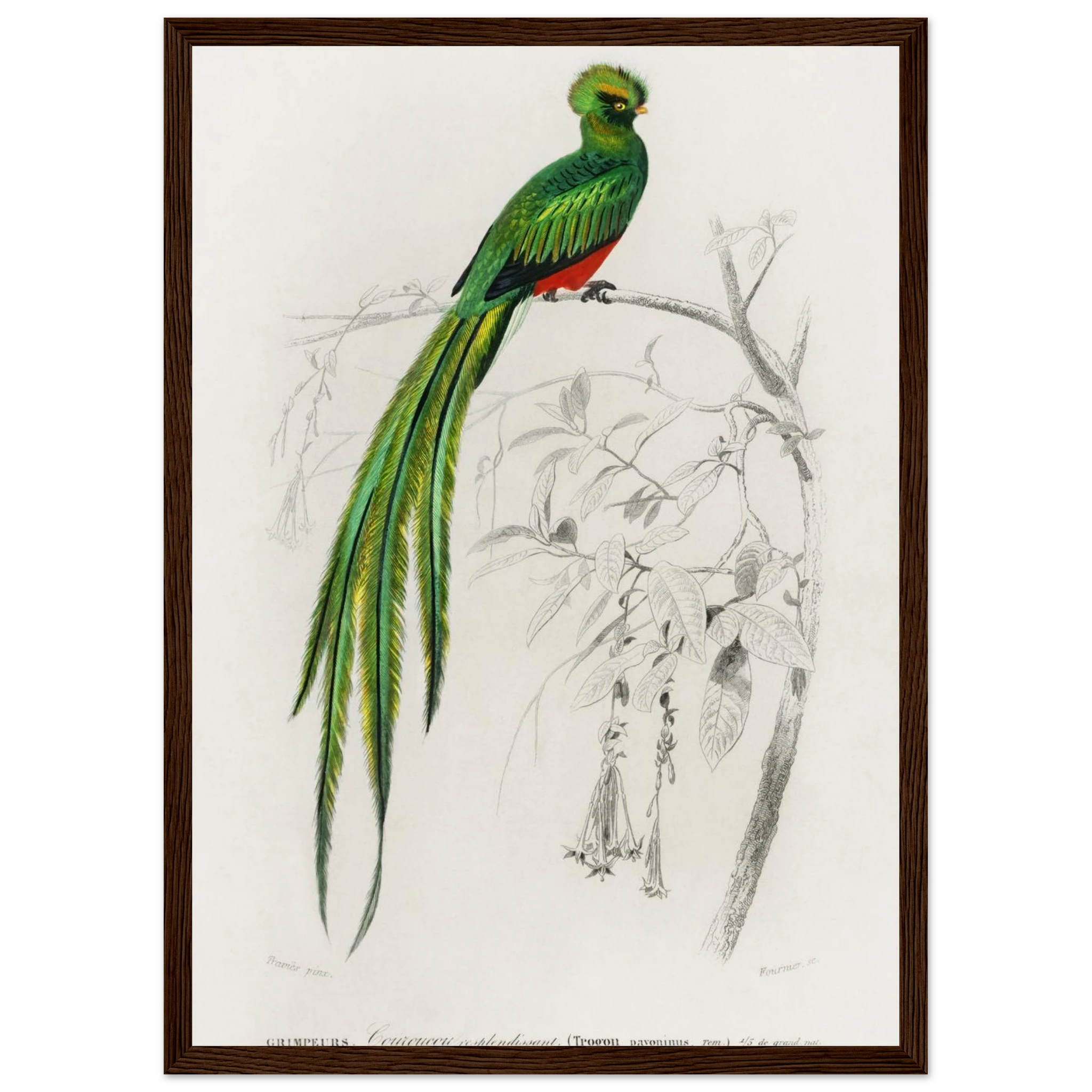 8bc01192-2c33-4420-916d-8f2f4b3a8f56